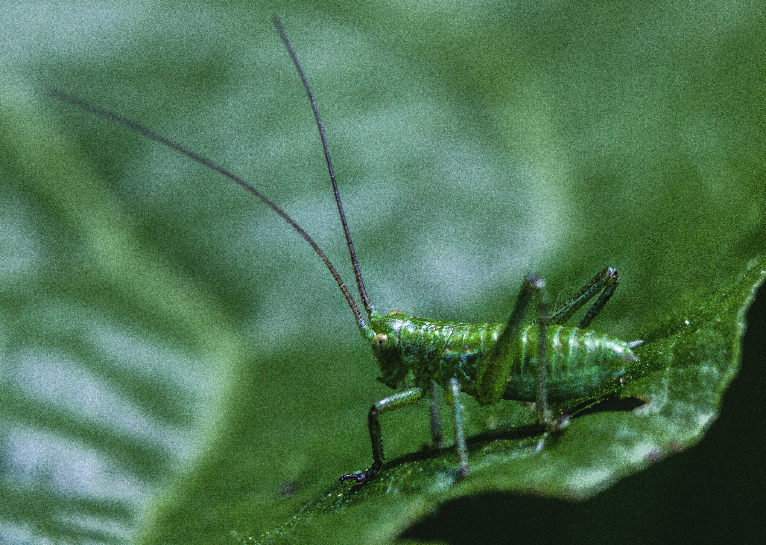 Макро. Обо всём