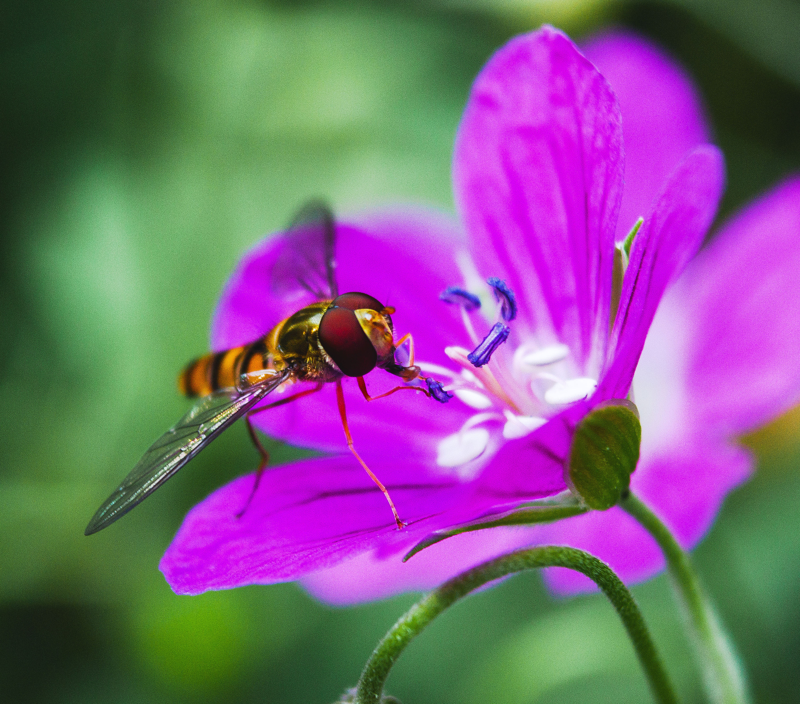 Макро. Обо всём