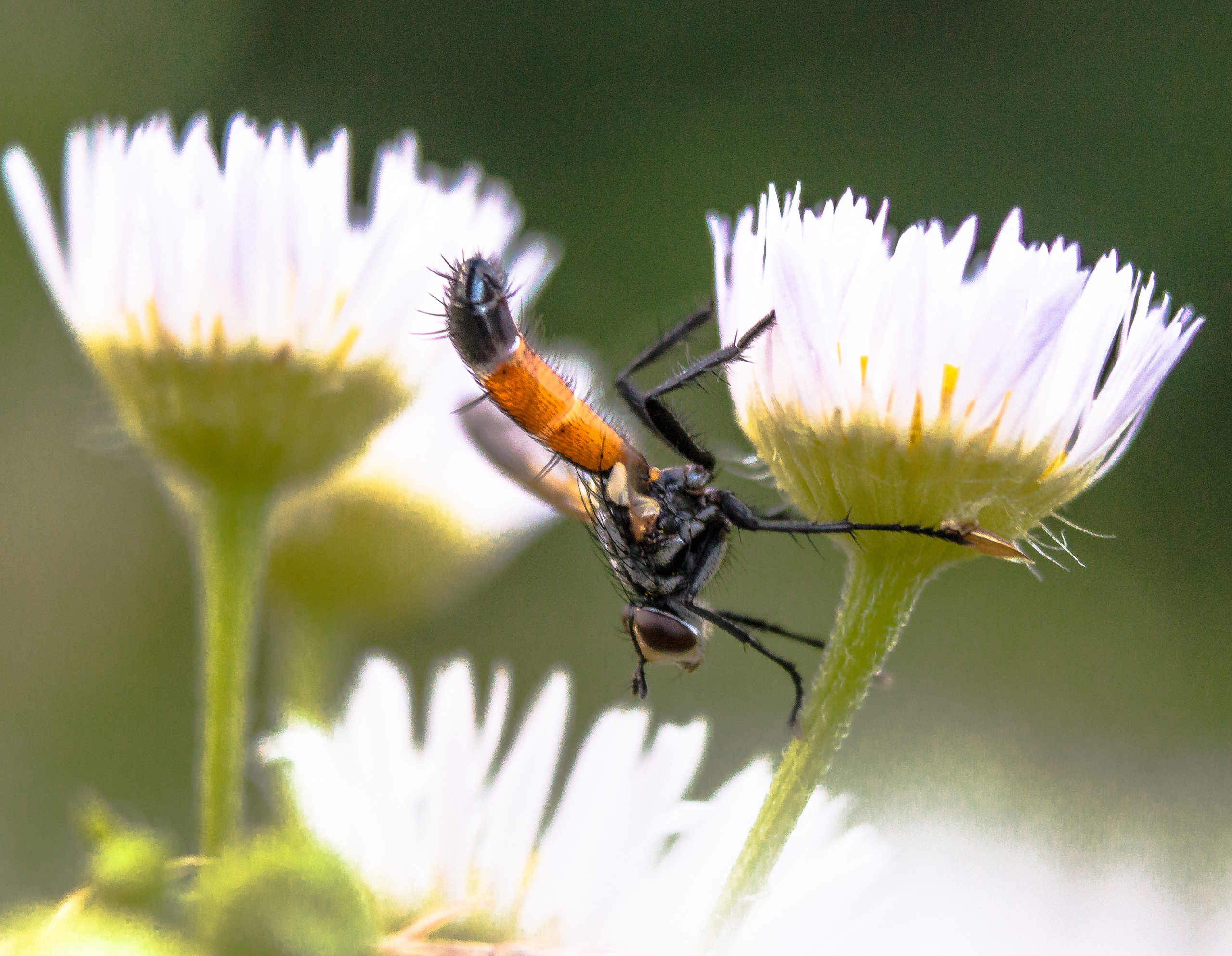 Макро. Обо всём