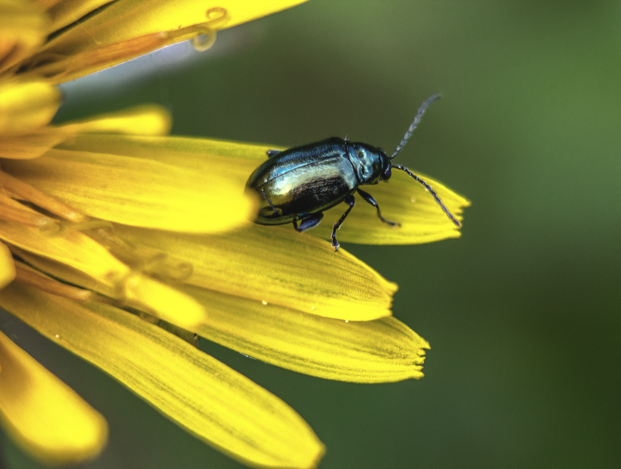 Макро. Обо всём