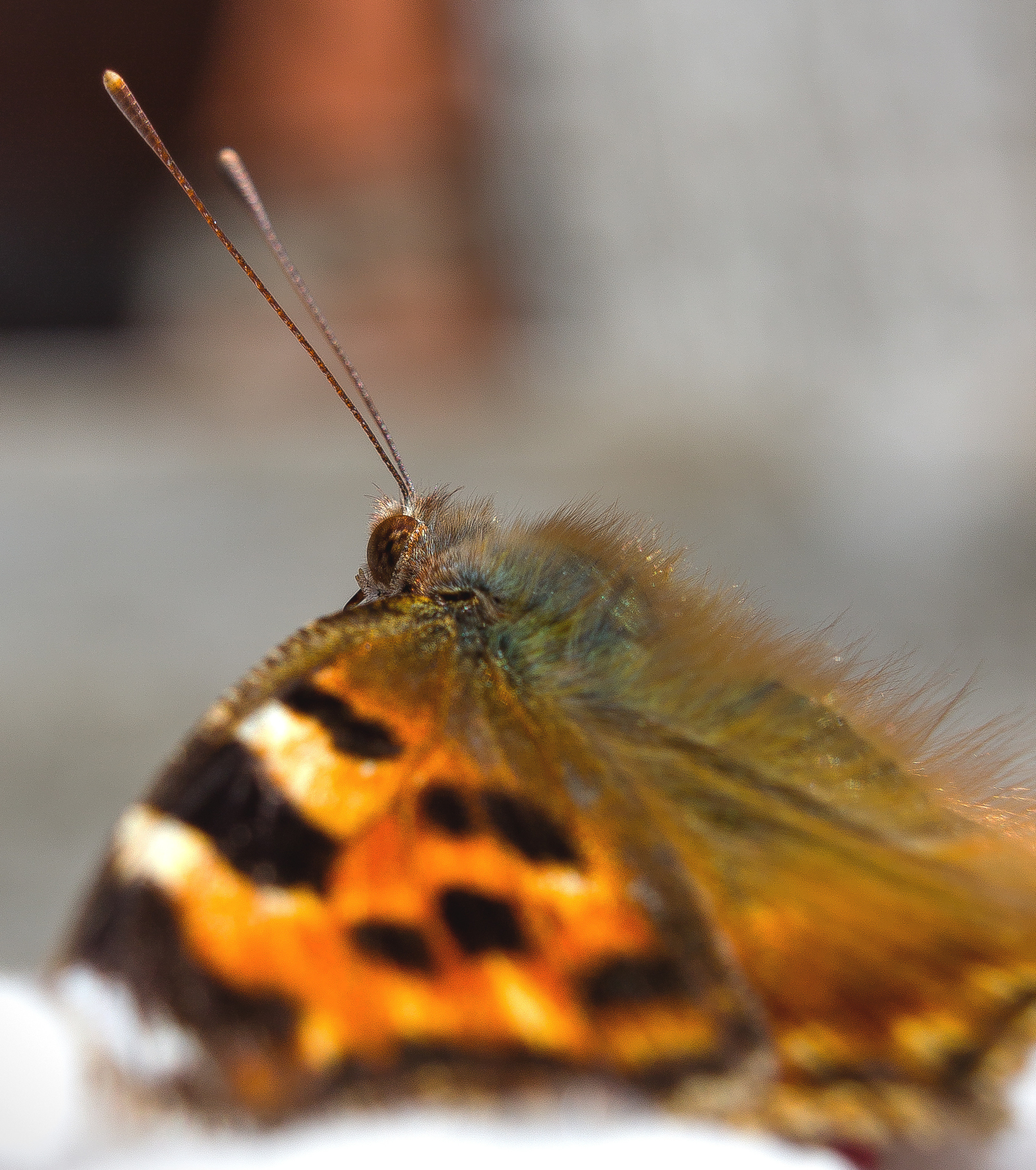 Макро. Обо всём