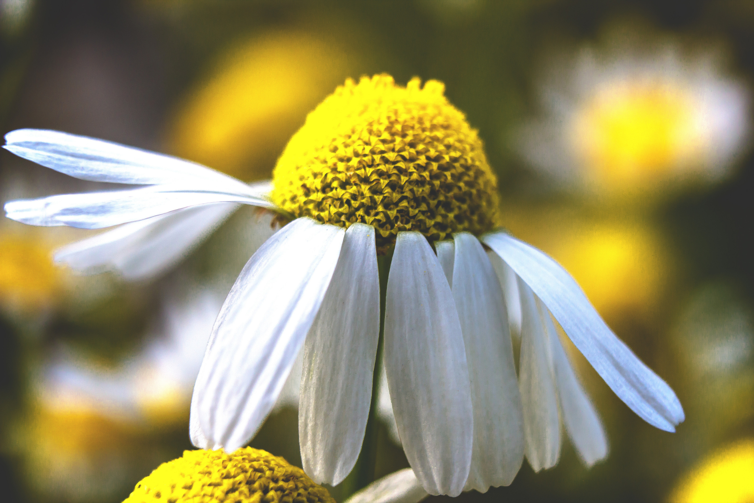 Природное. Обо всём