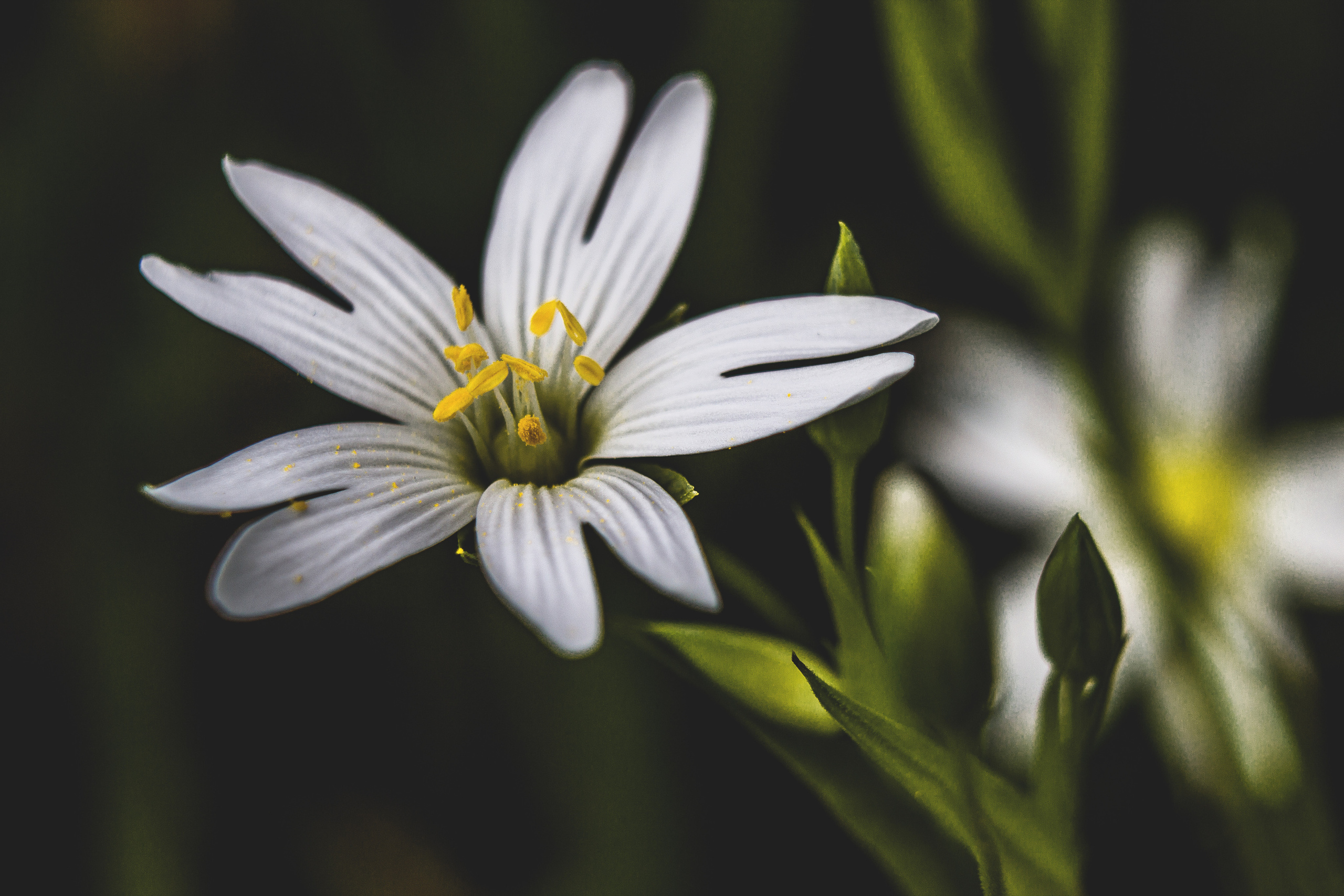 Природное. Обо всём