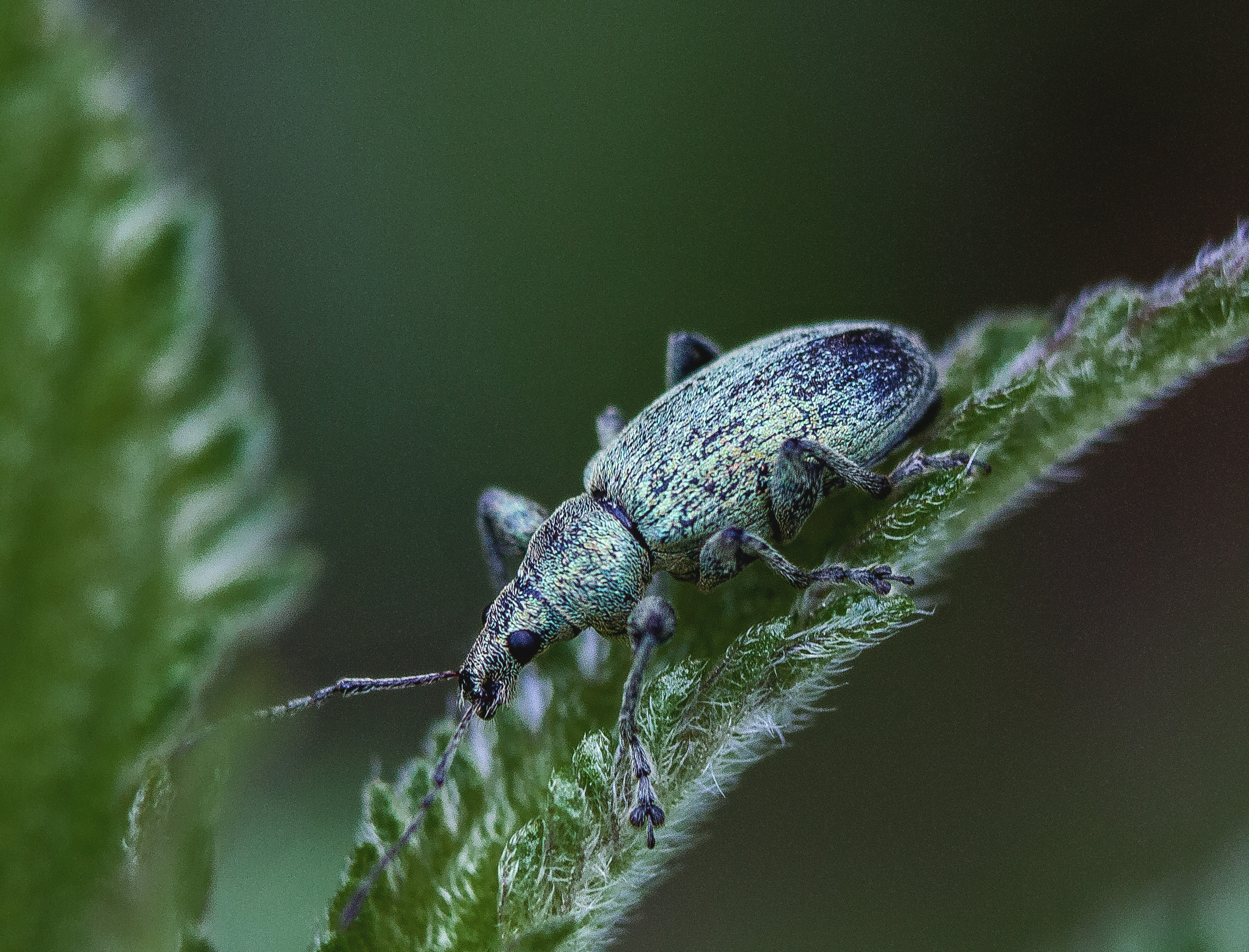 Макро. Обо всём