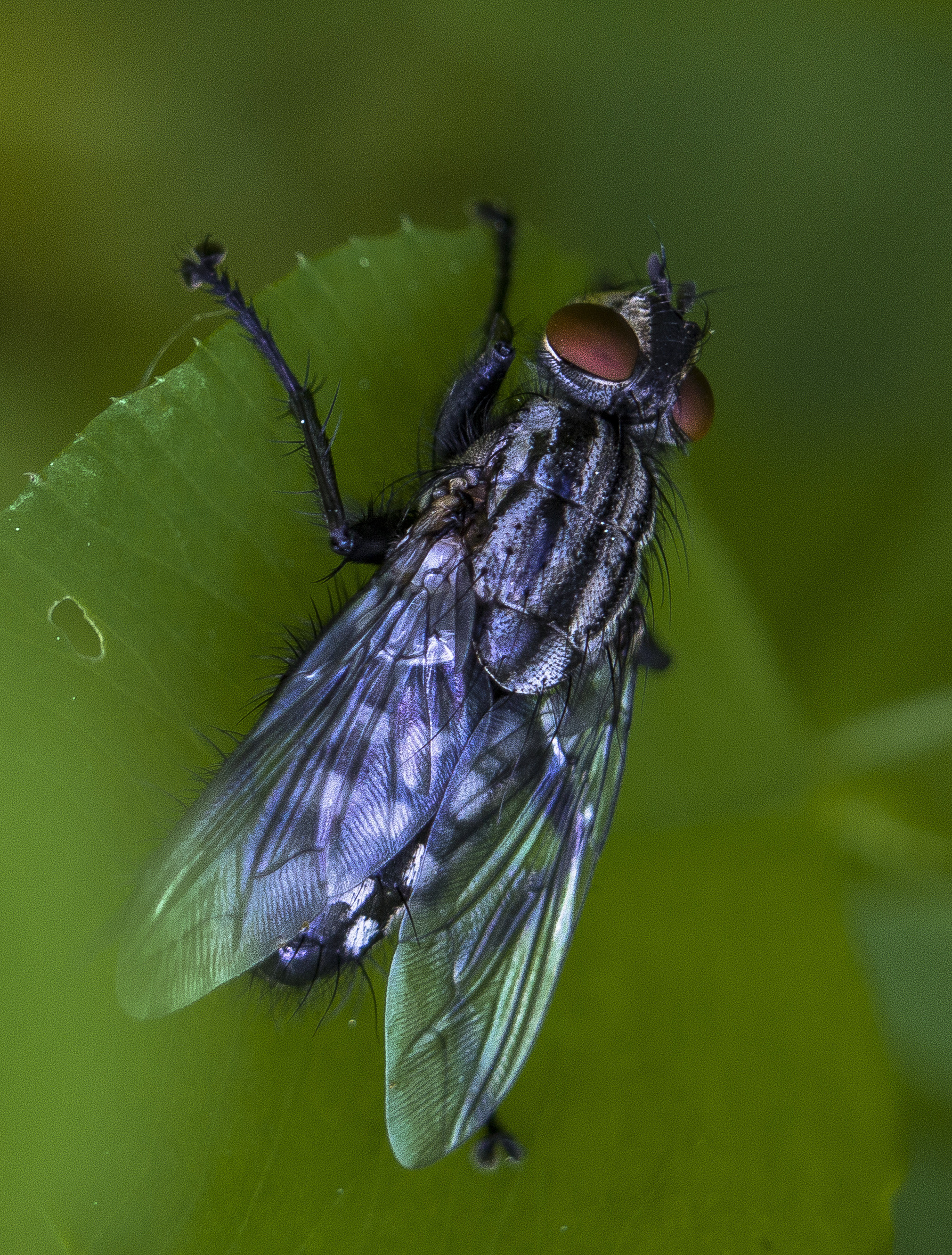 Макро. Обо всём