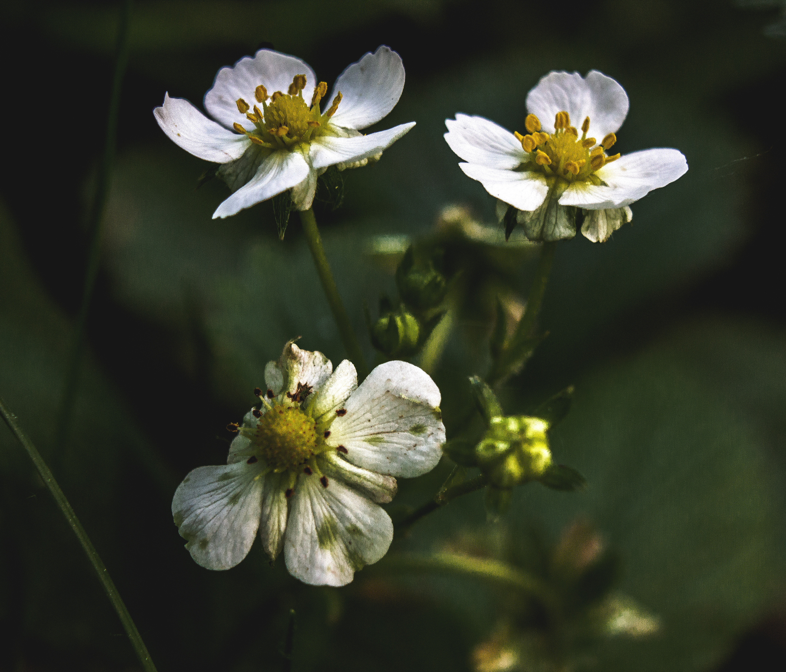 Природное. Обо всём