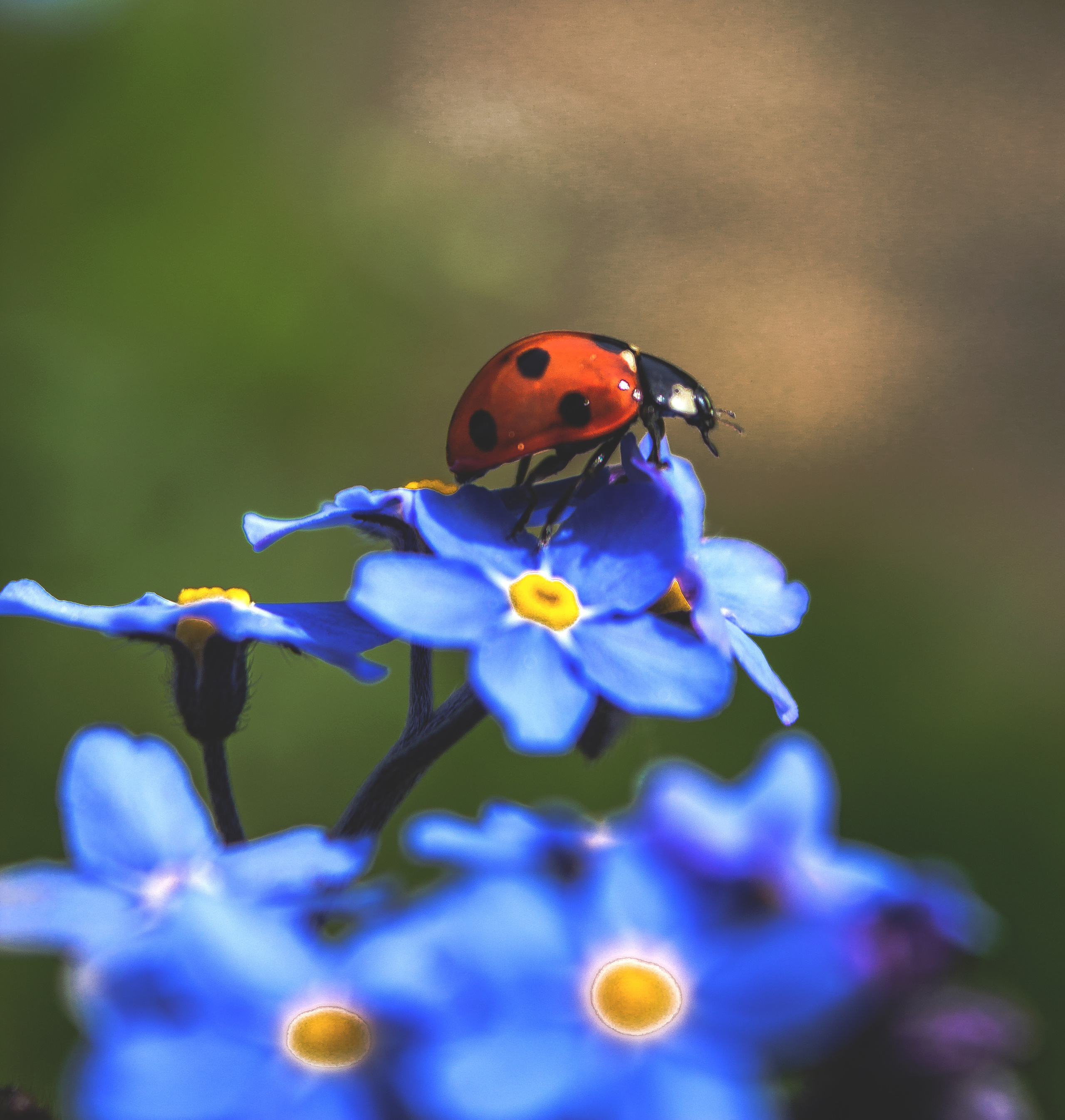 Макро. Обо всём