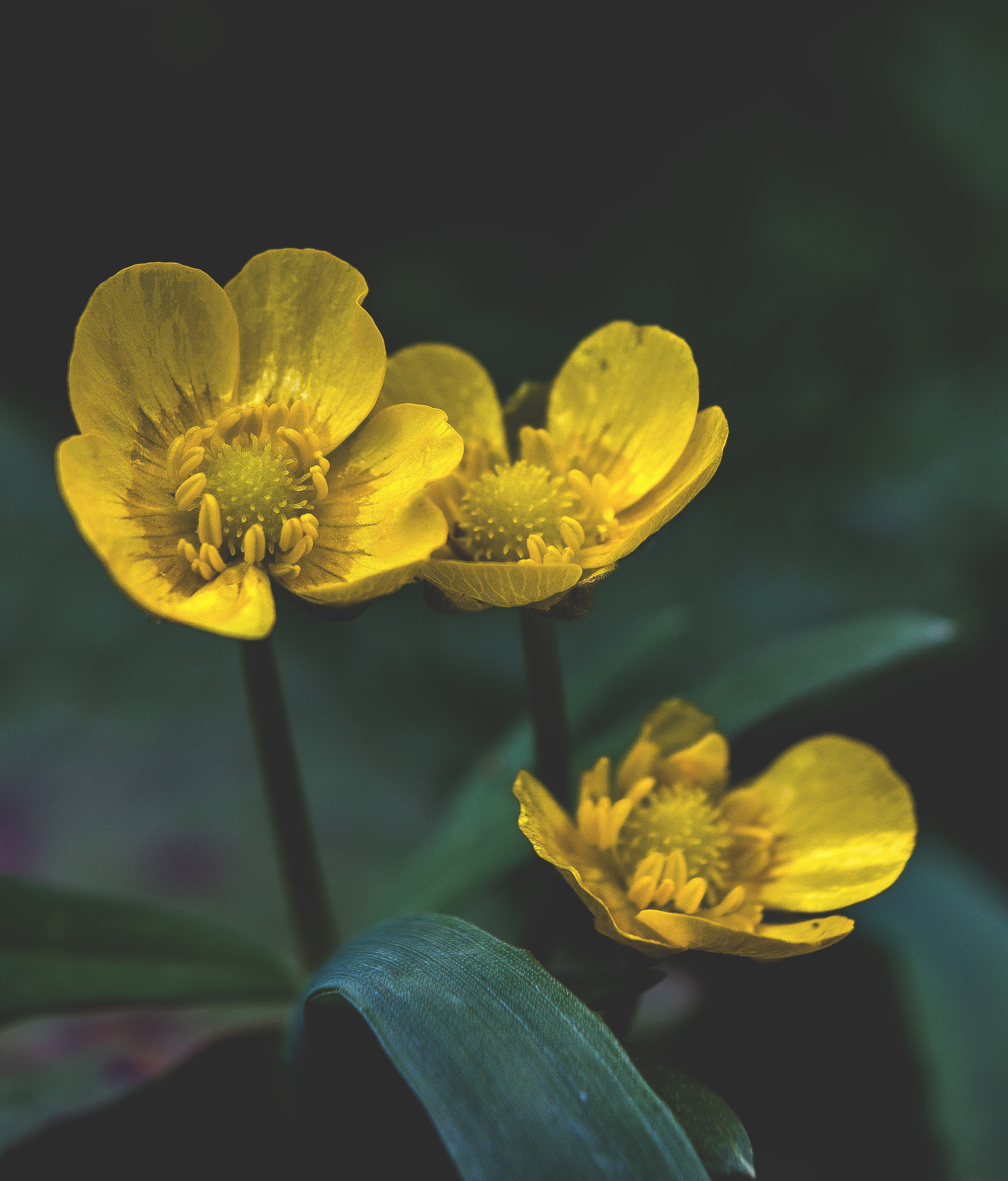 Природное. Обо всём