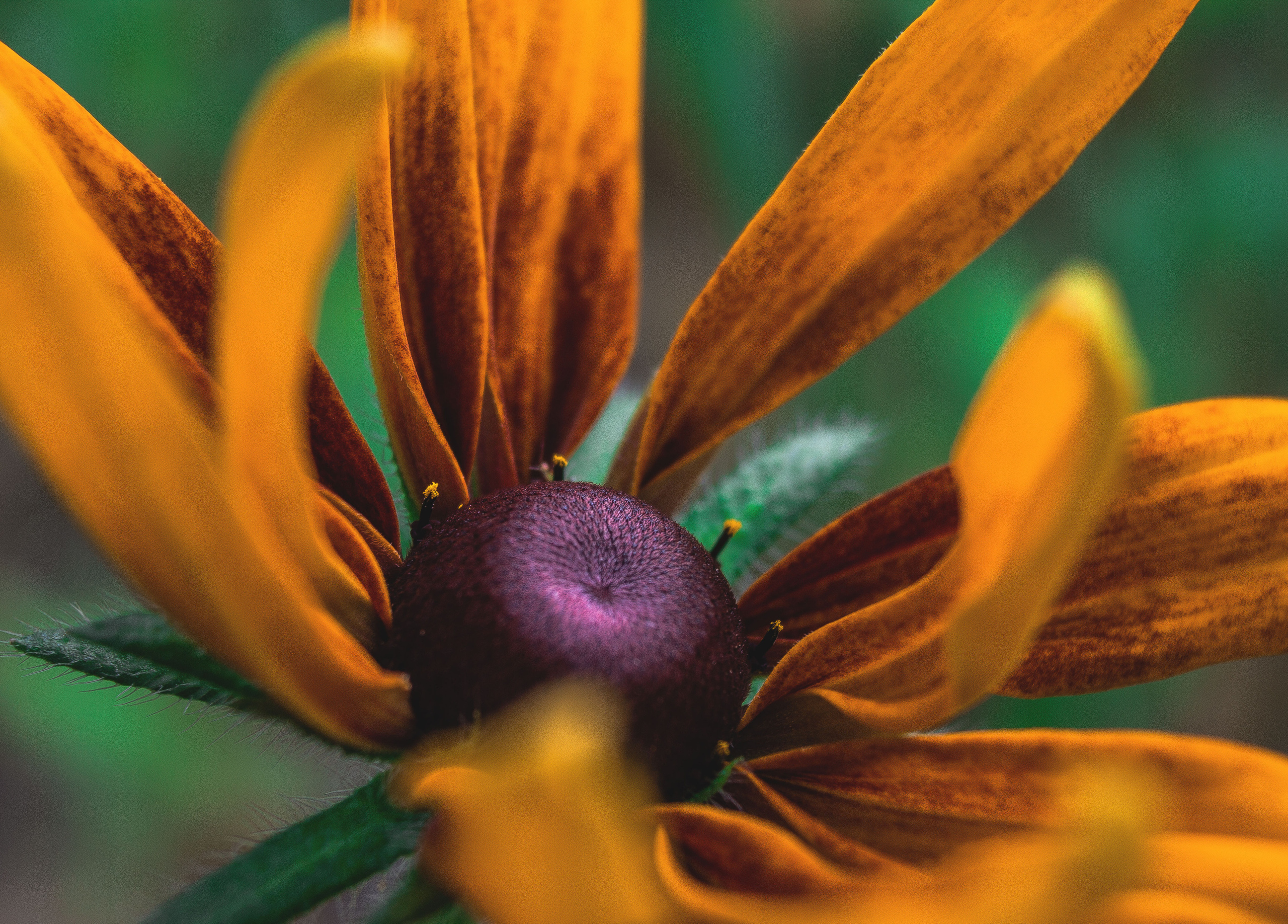 Природное. Обо всём