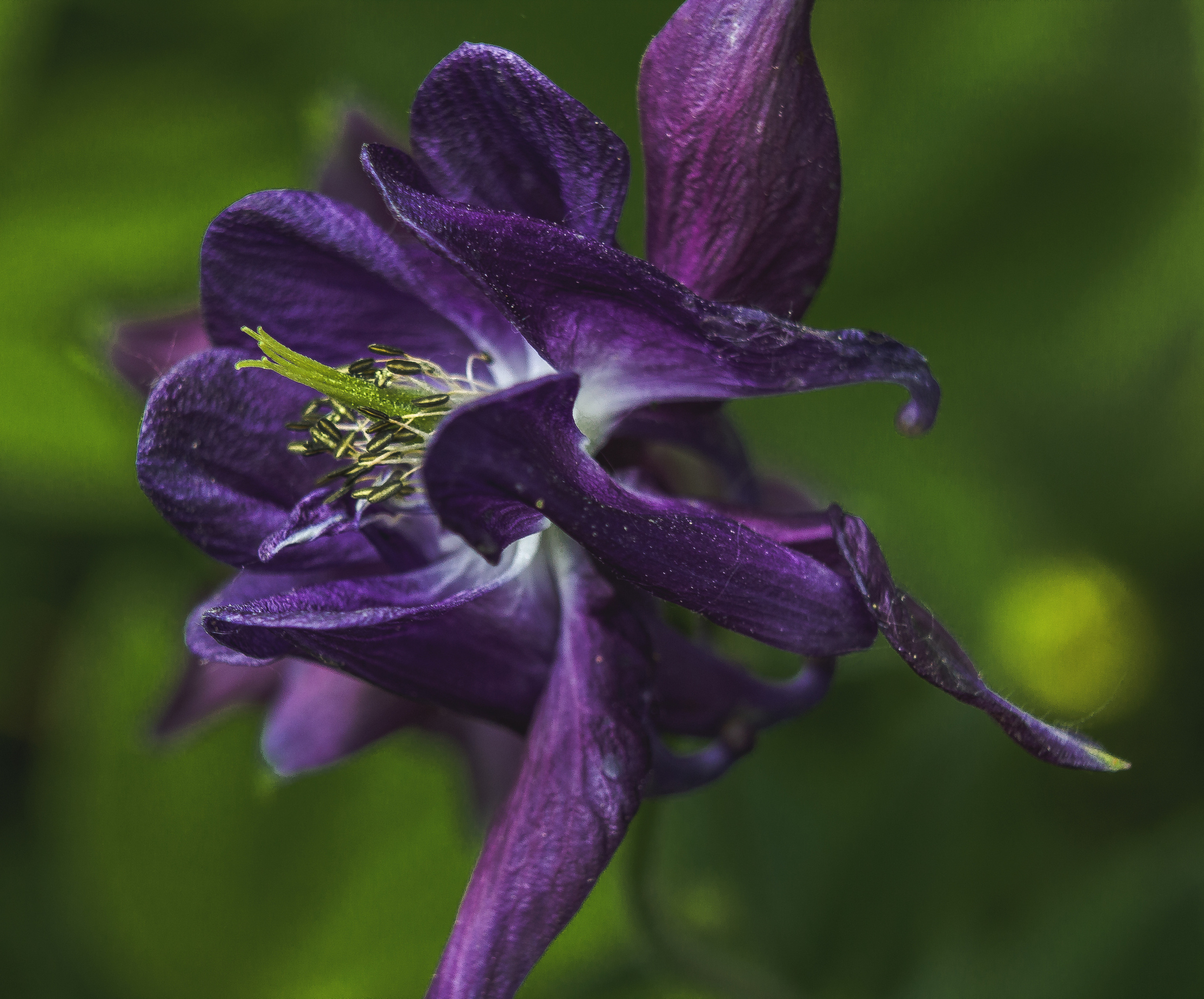 Природное. Обо всём