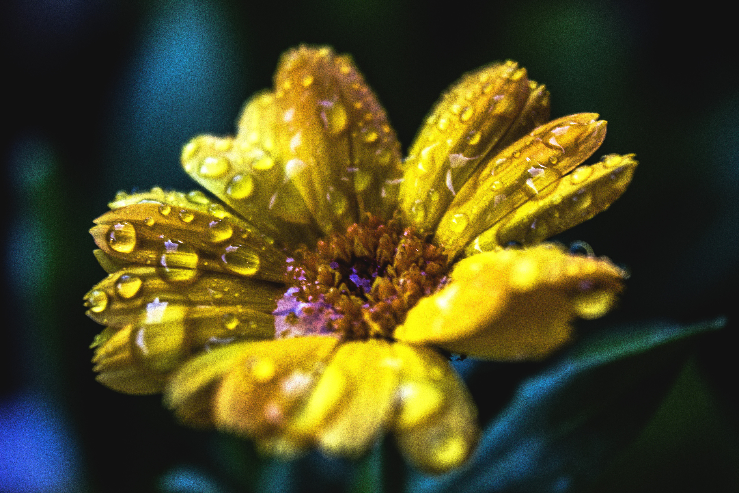 Природное. Обо всём