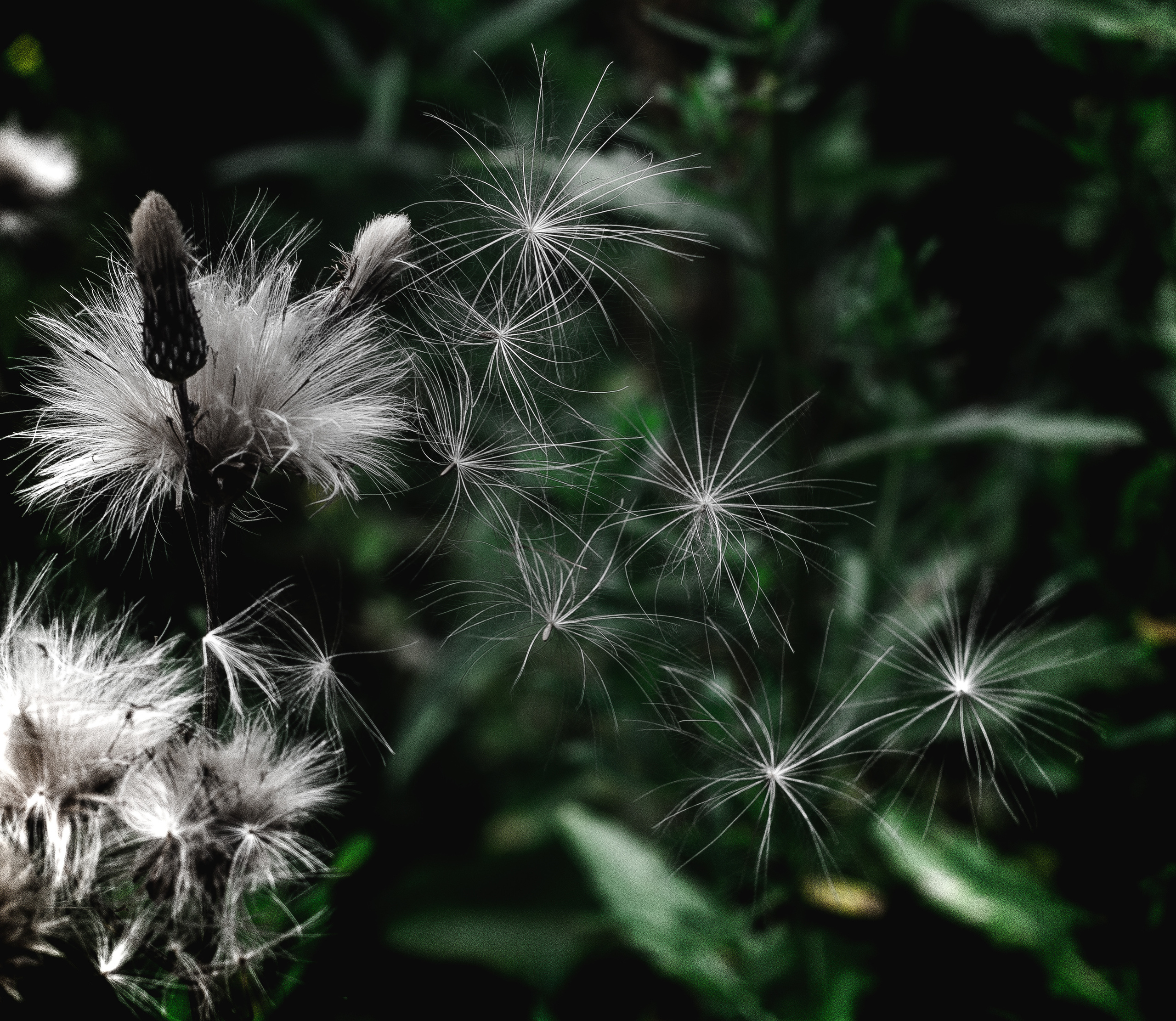 Природное. Обо всём