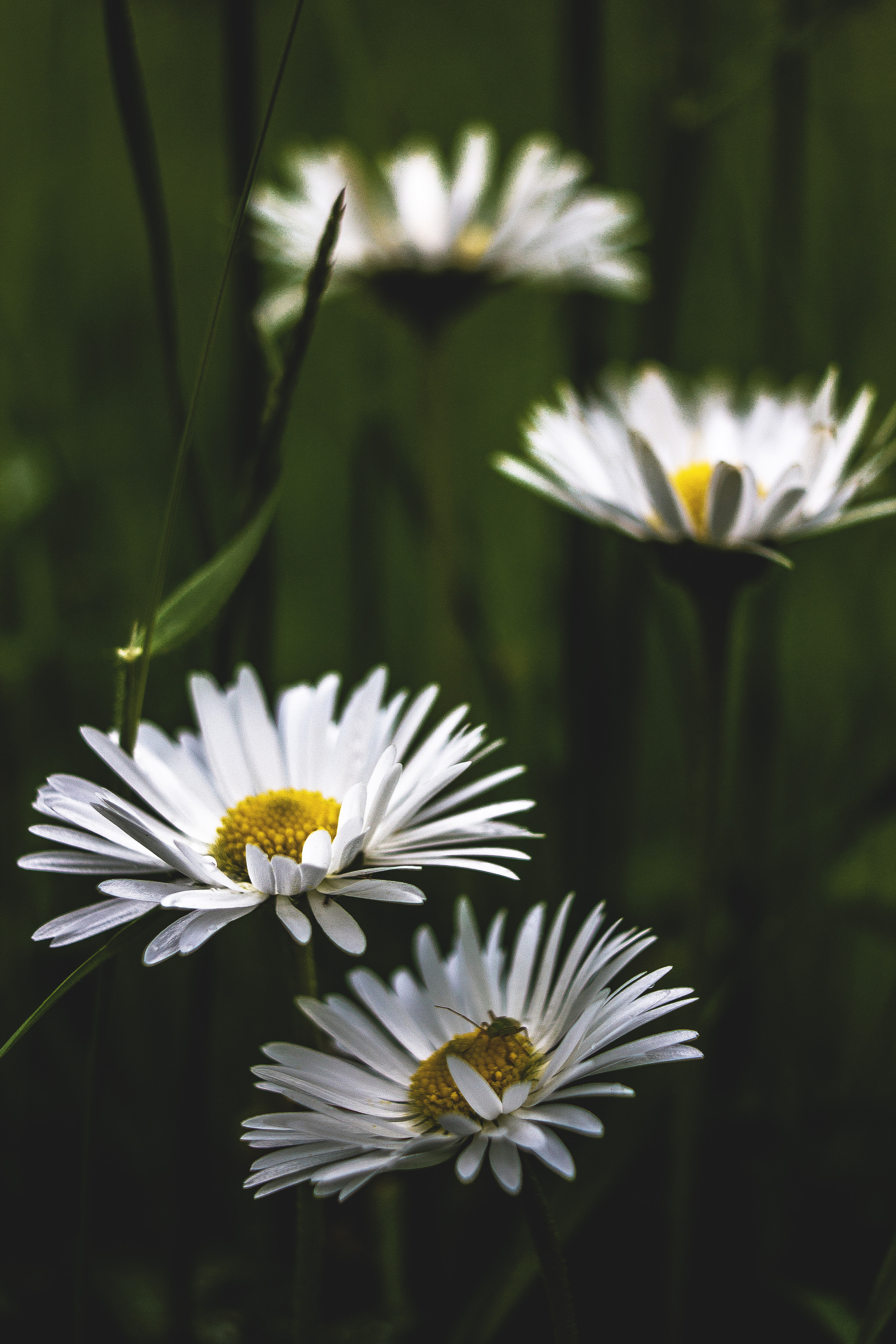 Природное. Обо всём