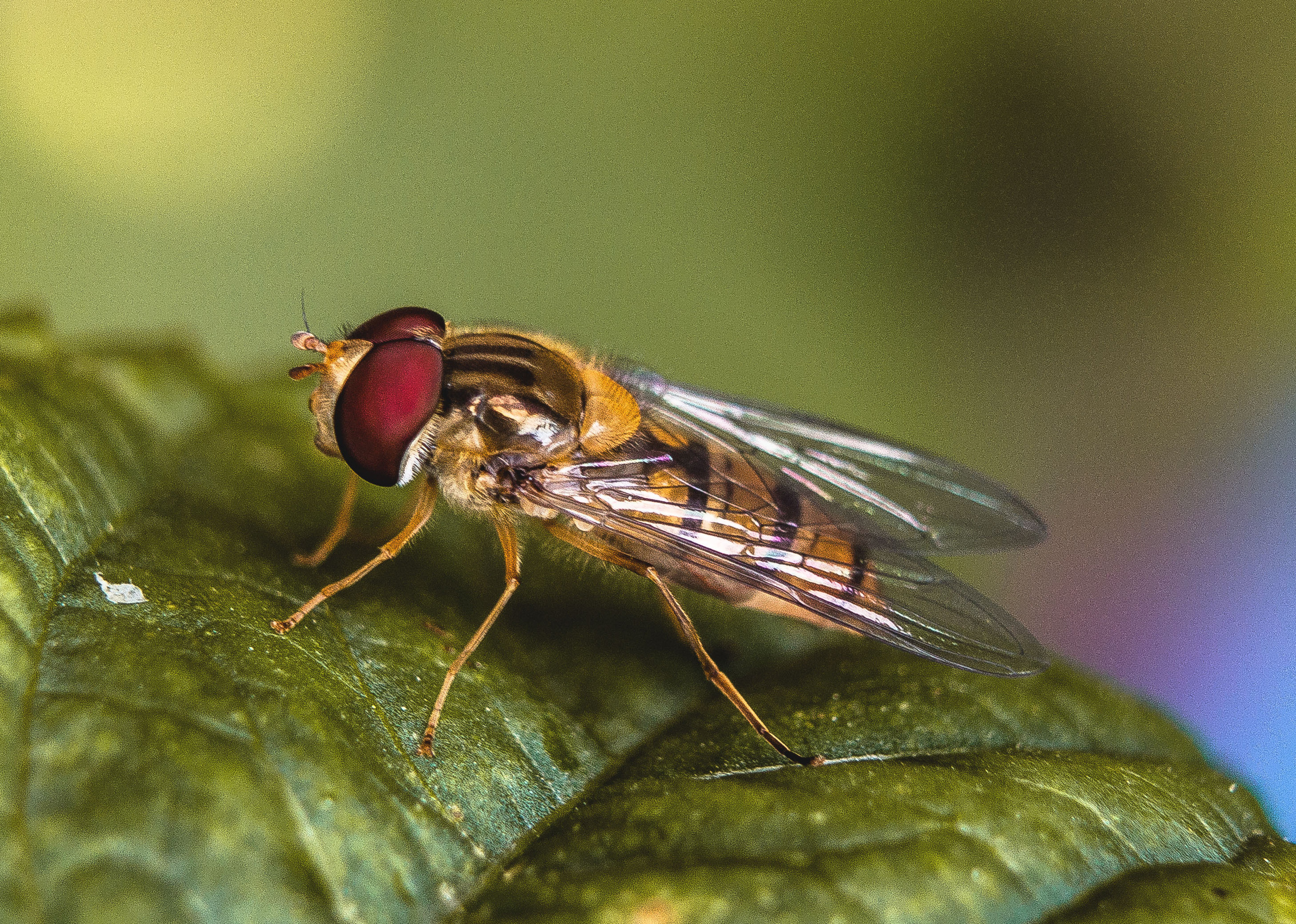 Макро. Обо всём