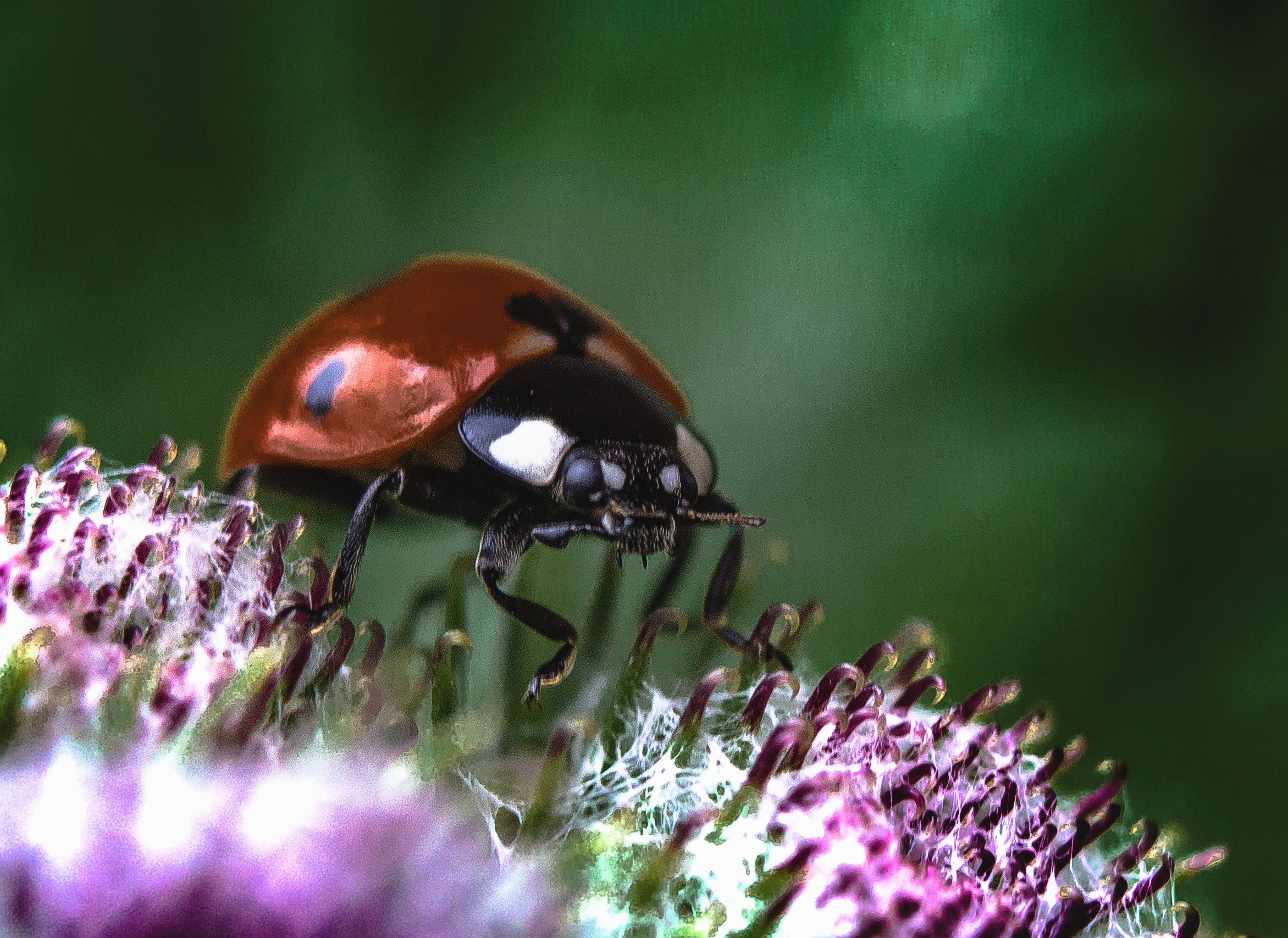 Макро. Обо всём