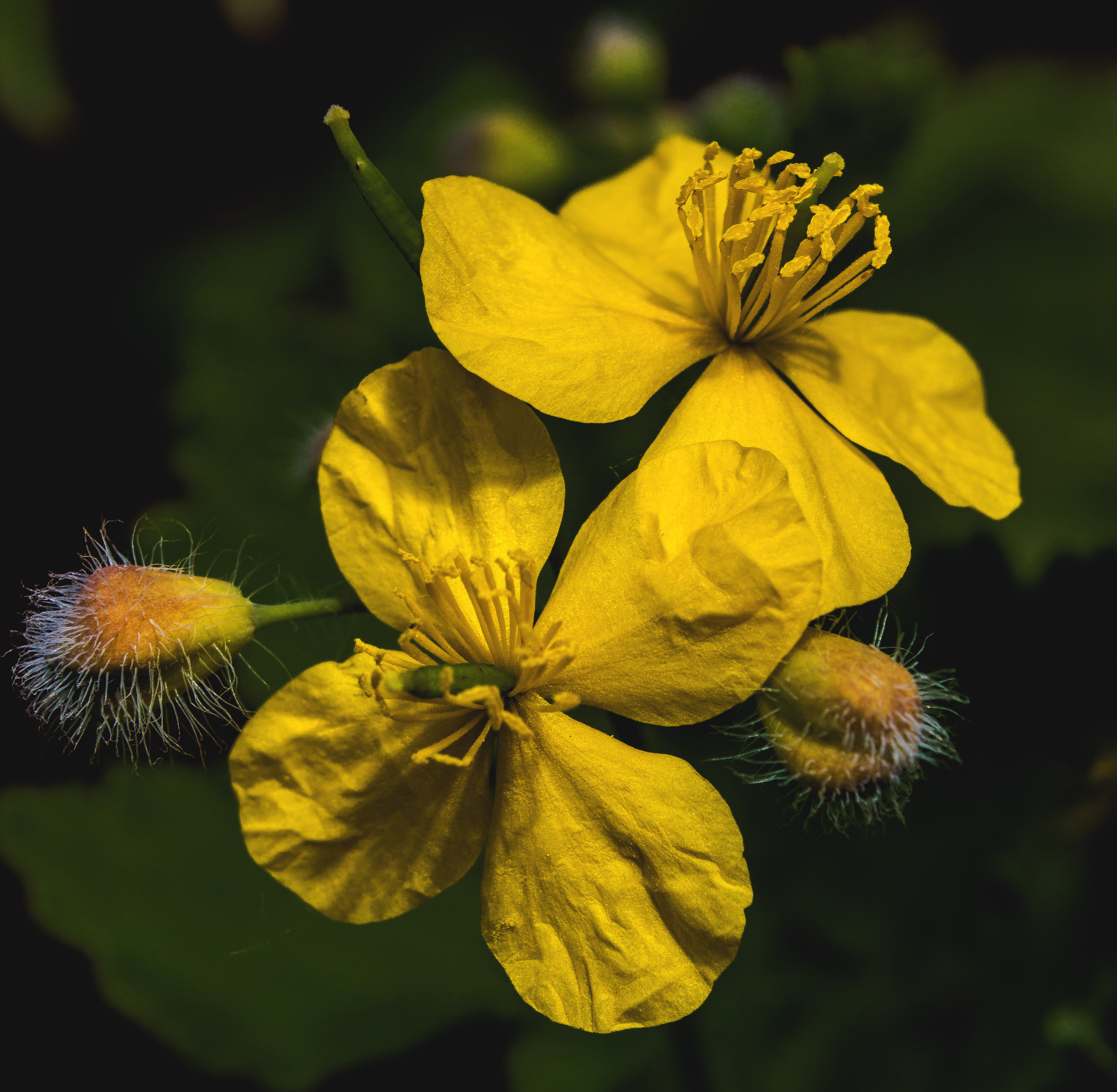 Природное. Обо всём