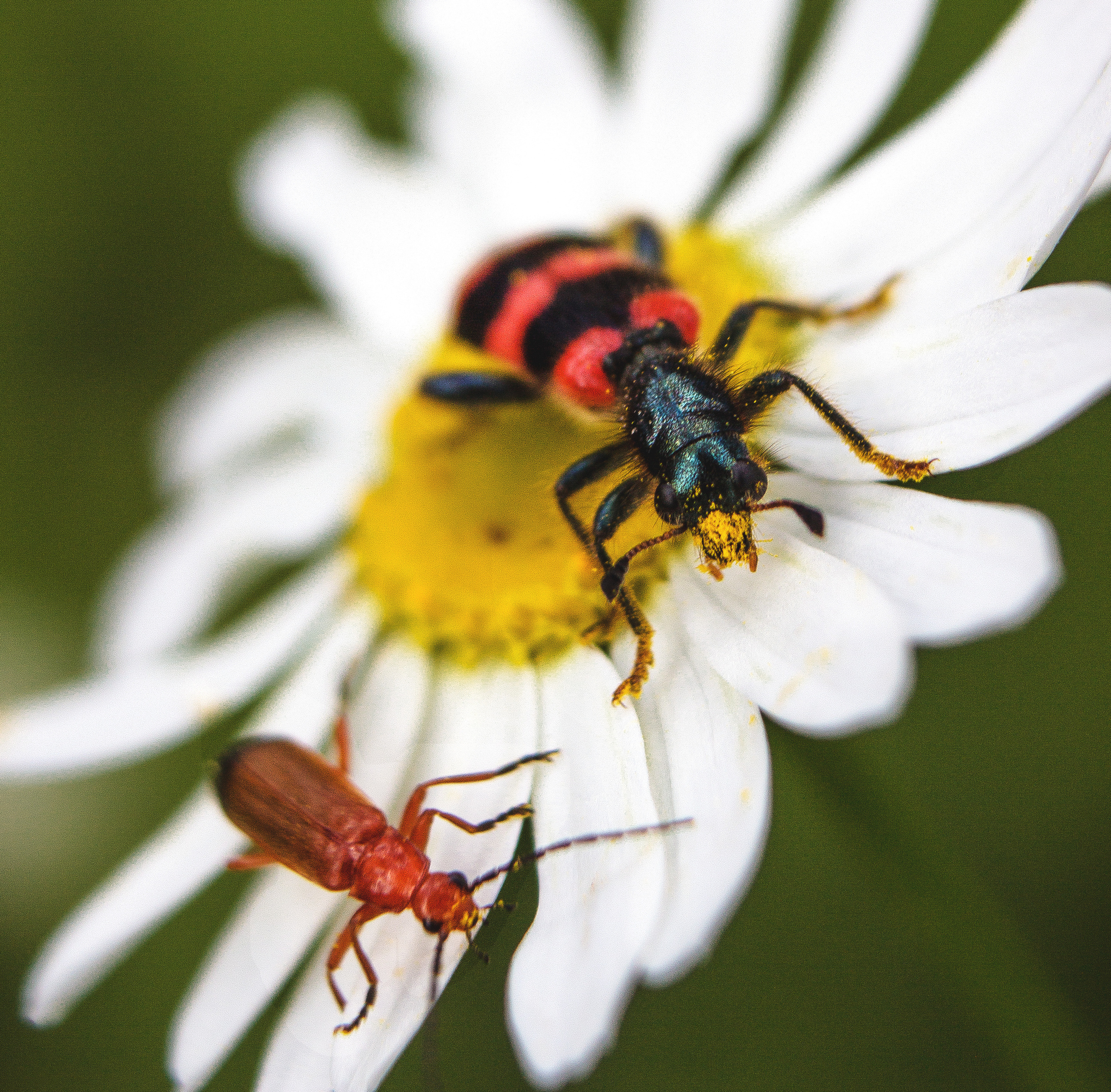 Макро. Обо всём