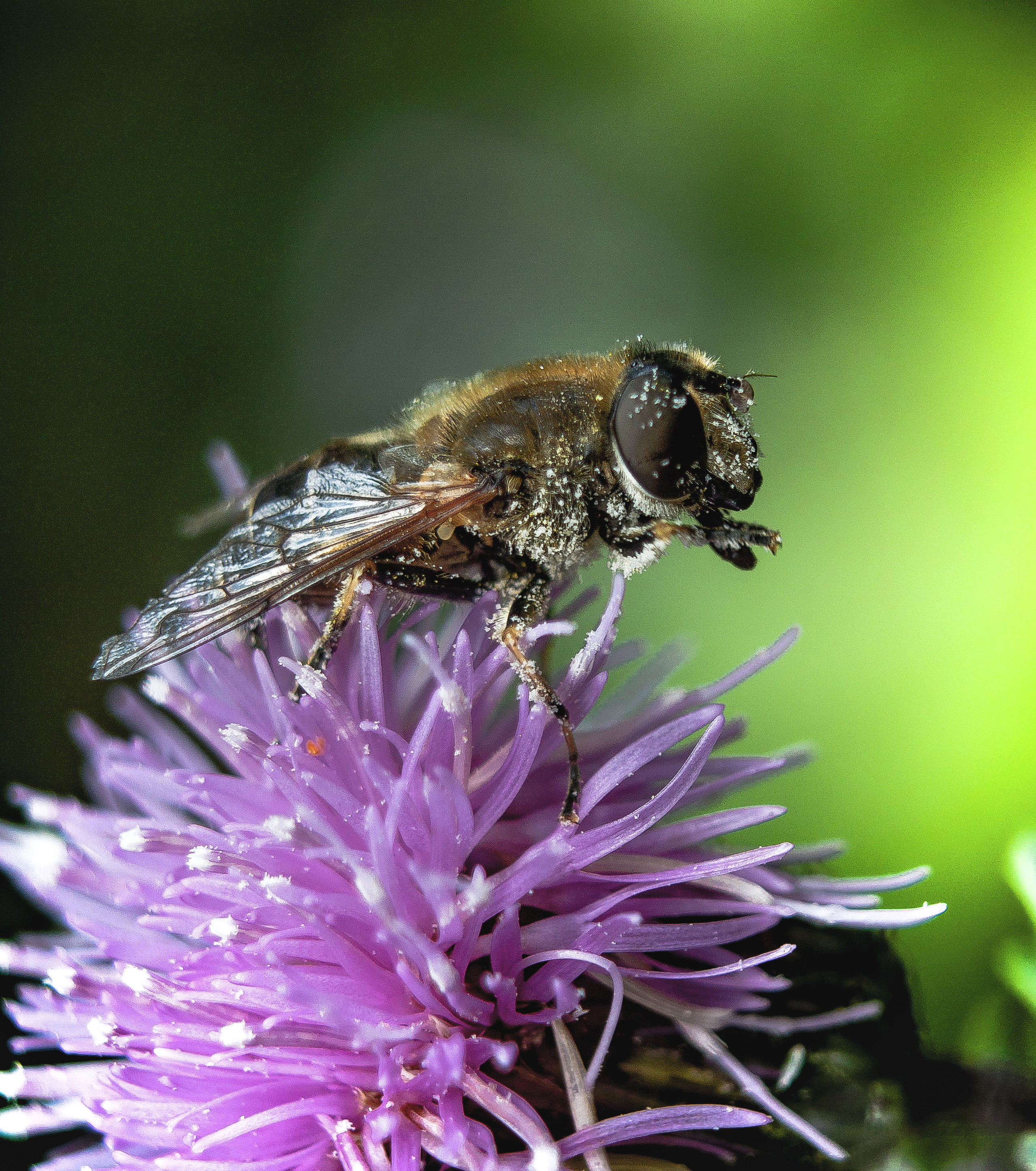 Макро. Обо всём