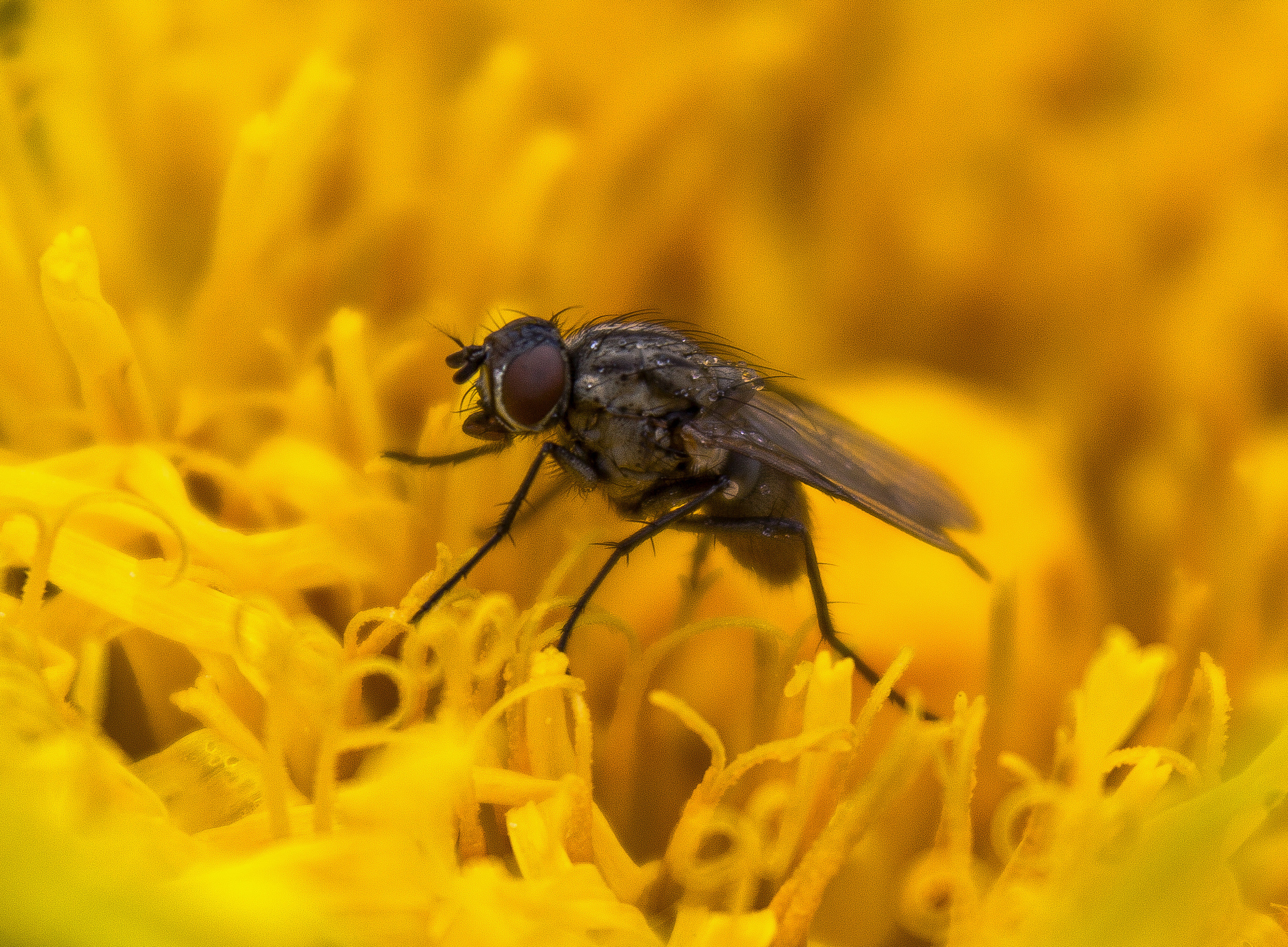 Макро. Обо всём