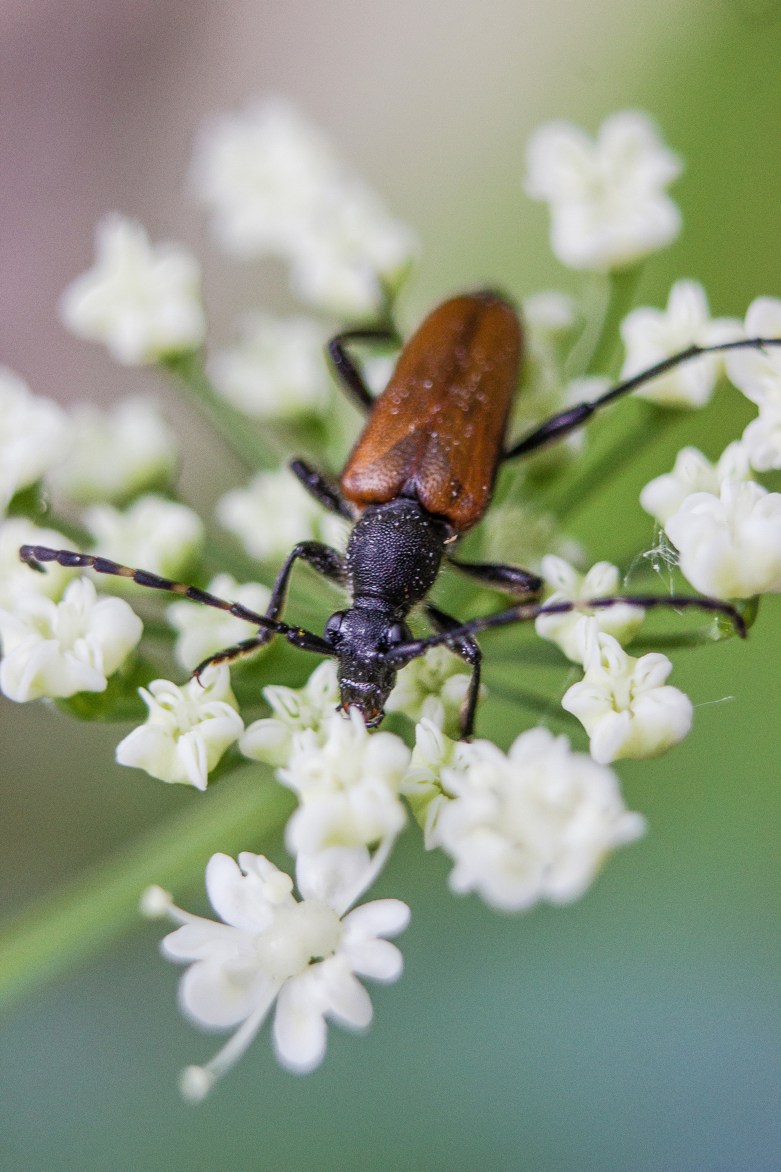 Макро. Обо всём