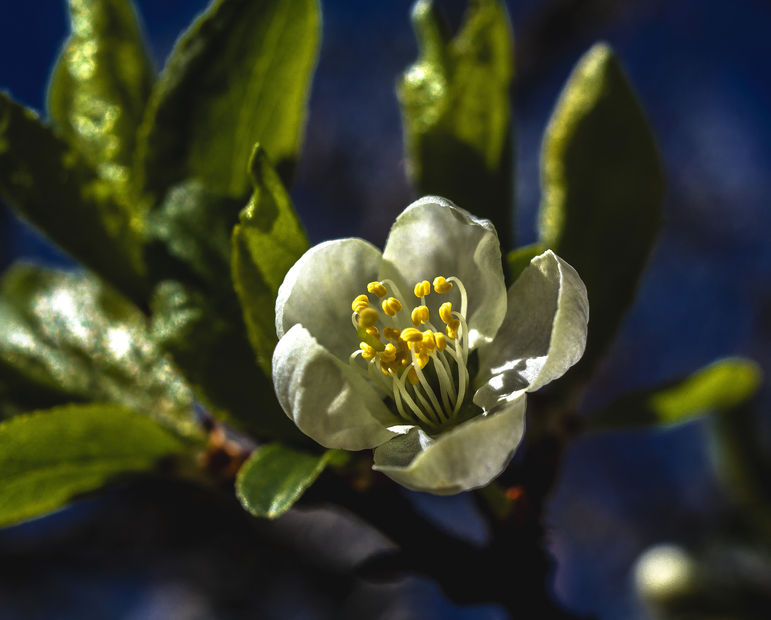 Природное. Обо всём