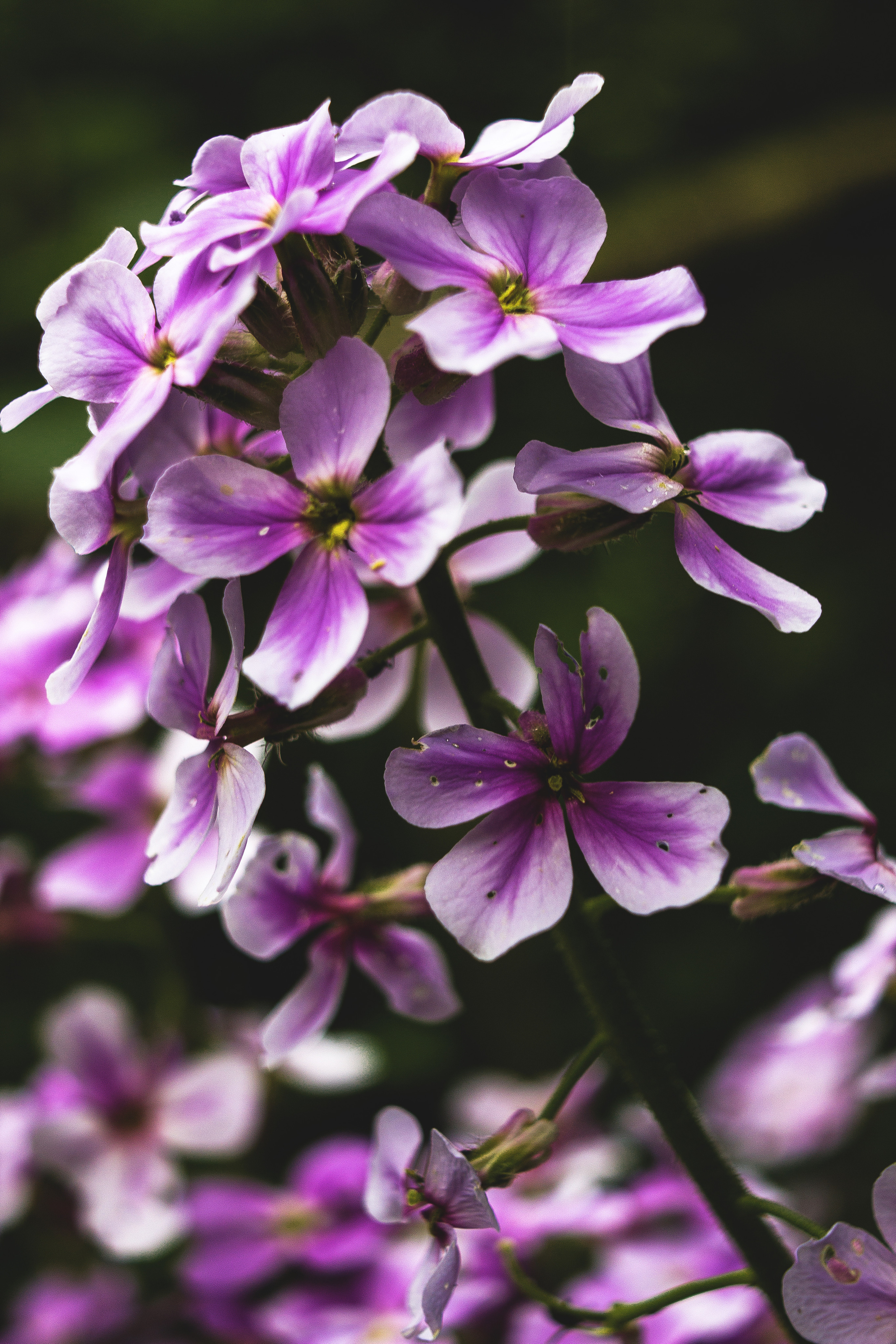 Природное. Обо всём