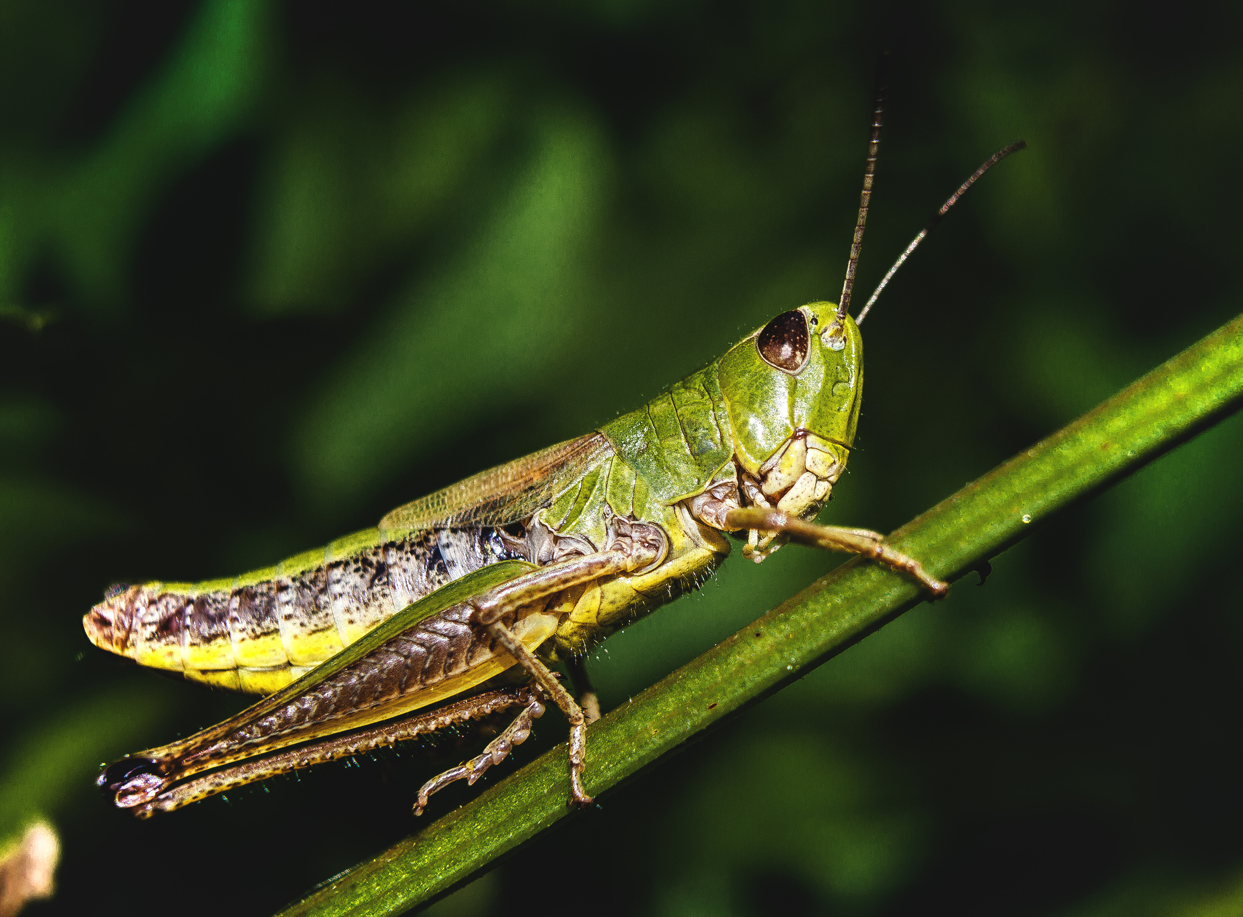 Макро. Обо всём