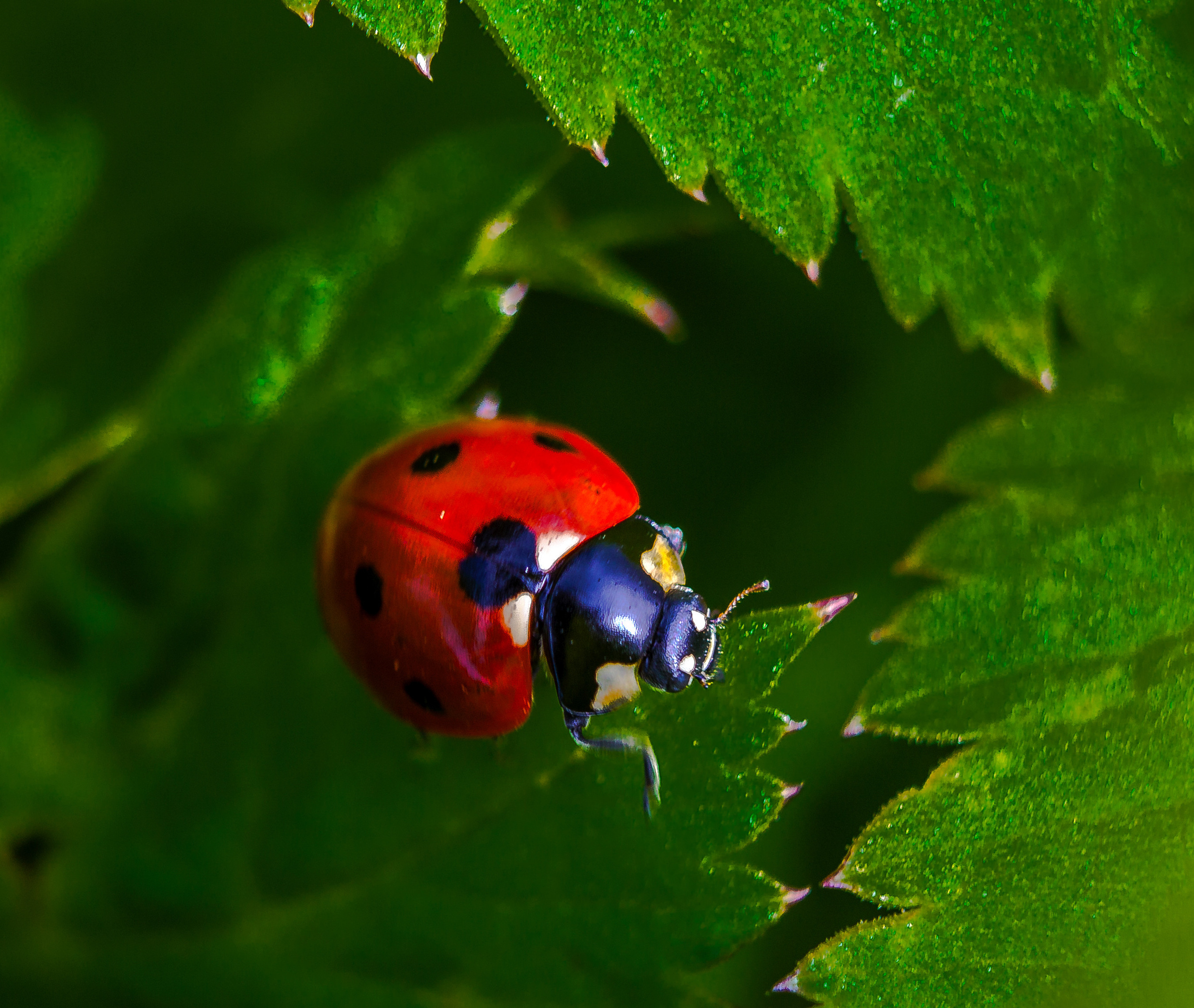 Макро. Обо всём