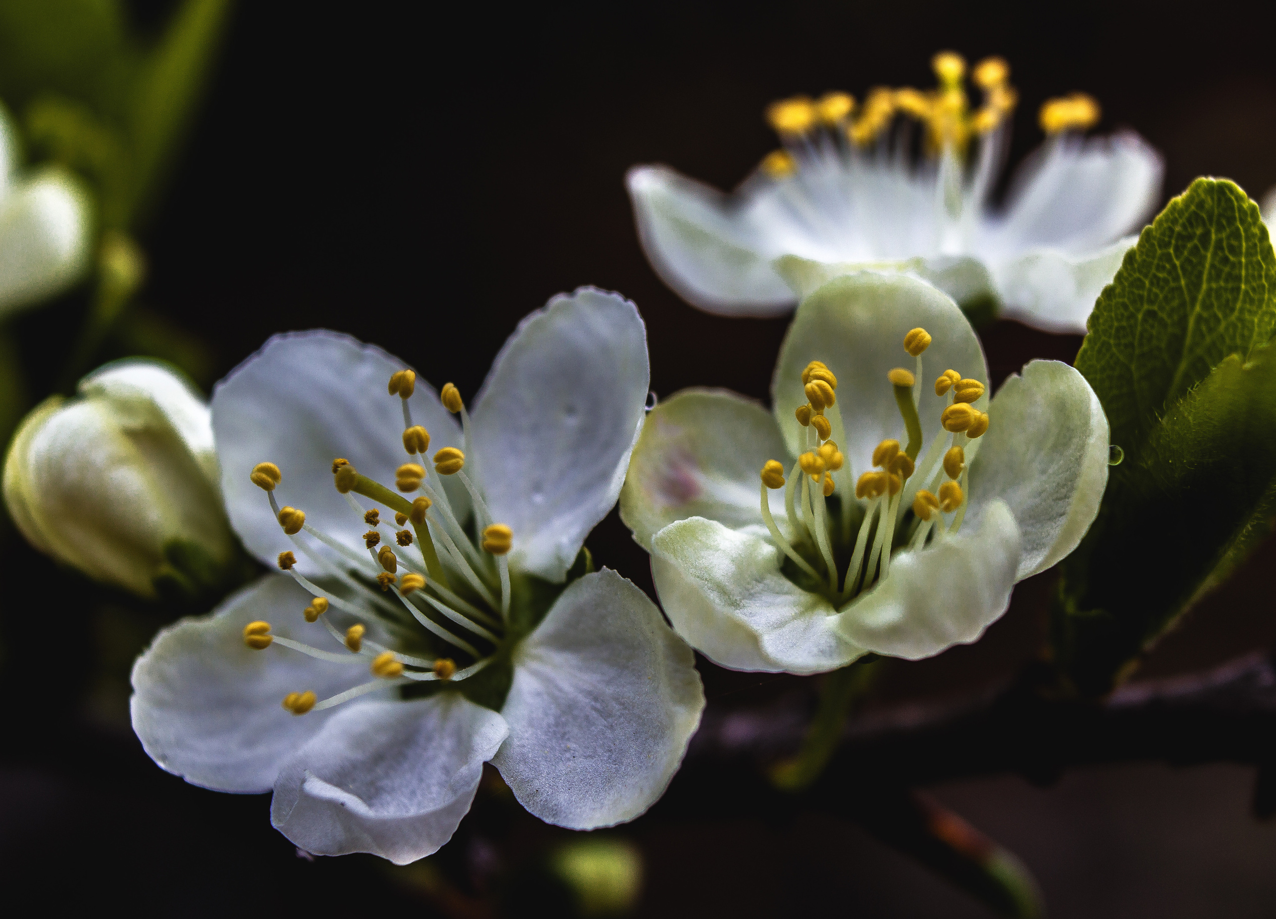 Природное. Обо всём