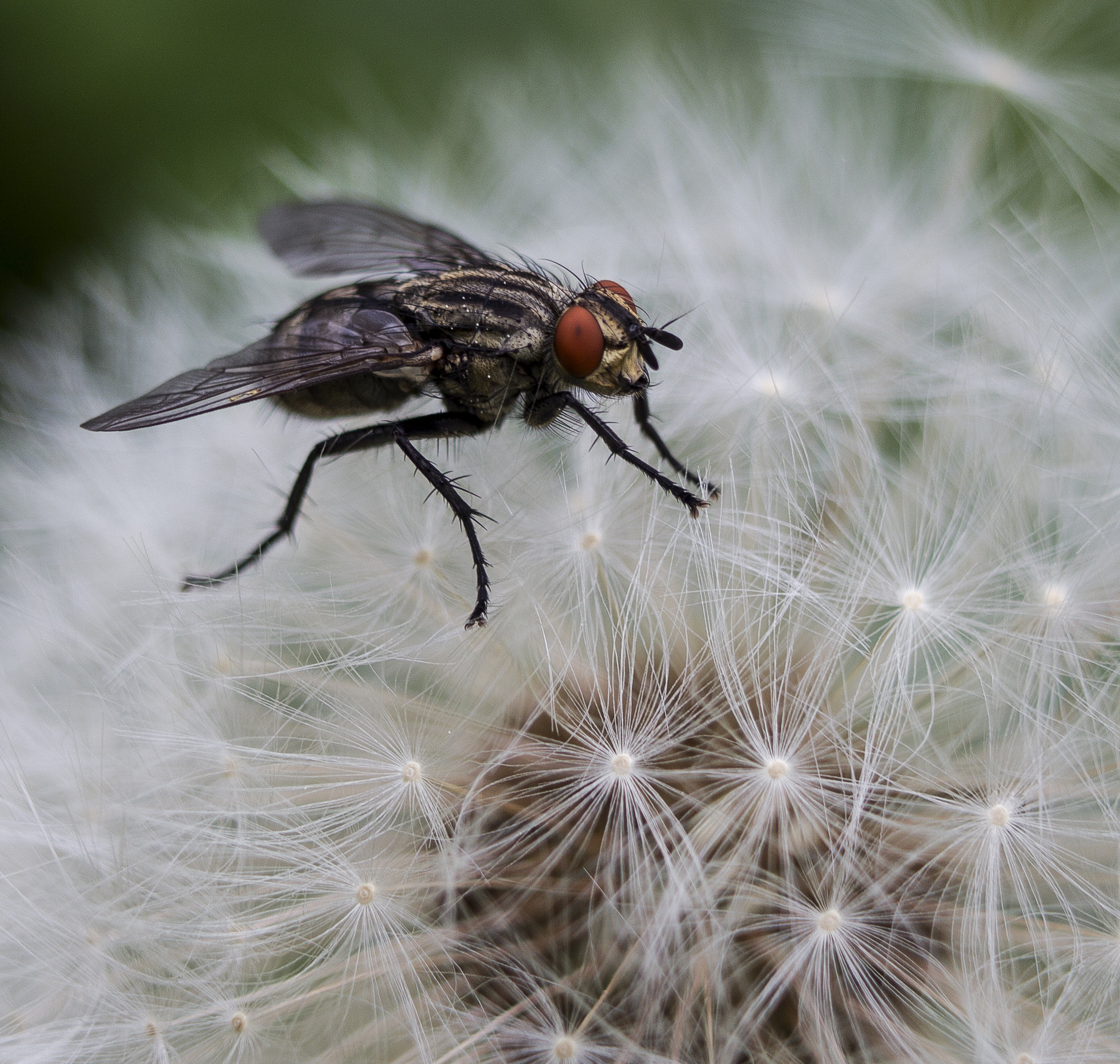 Макро. Обо всём