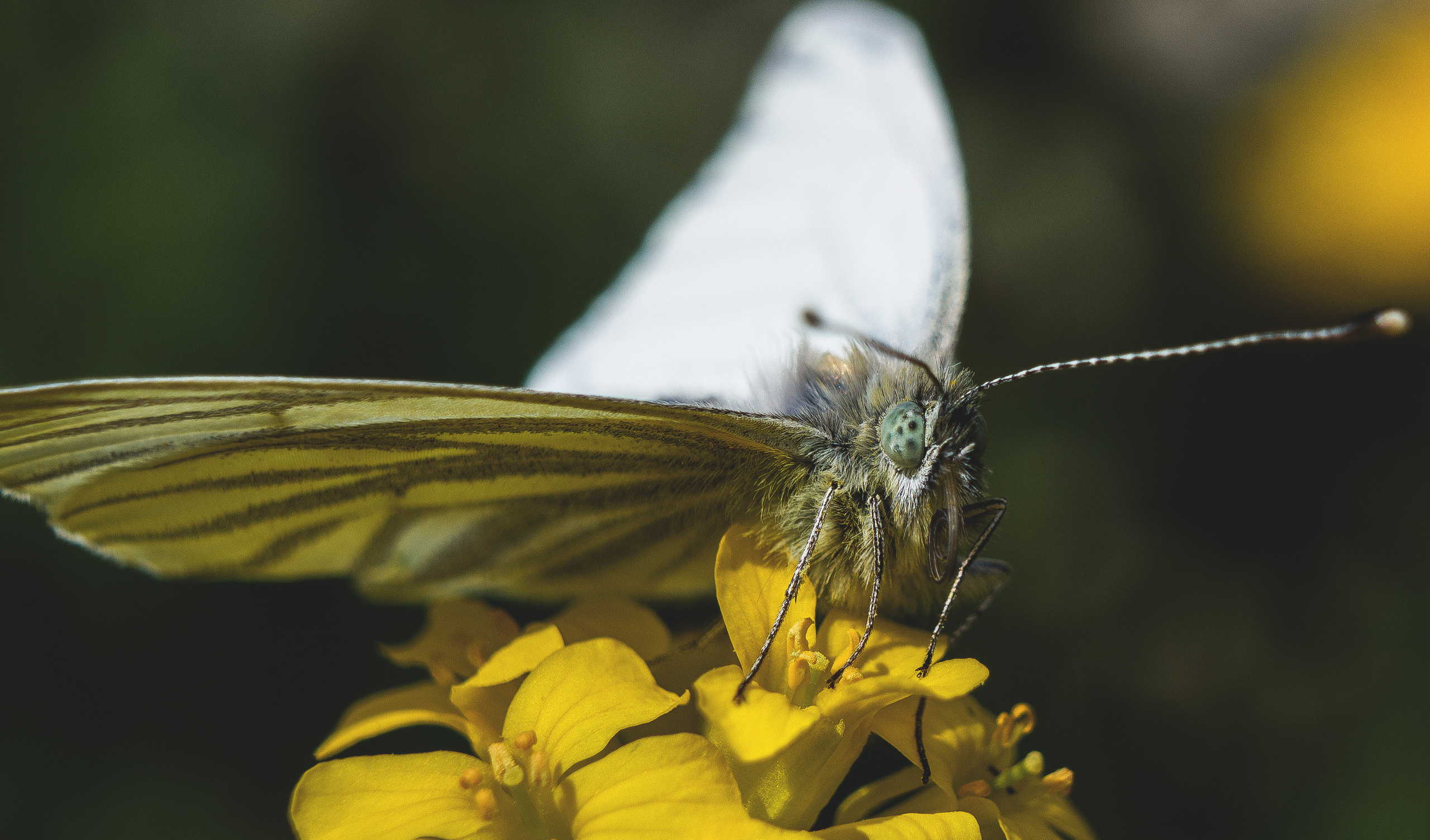 Макро. Обо всём