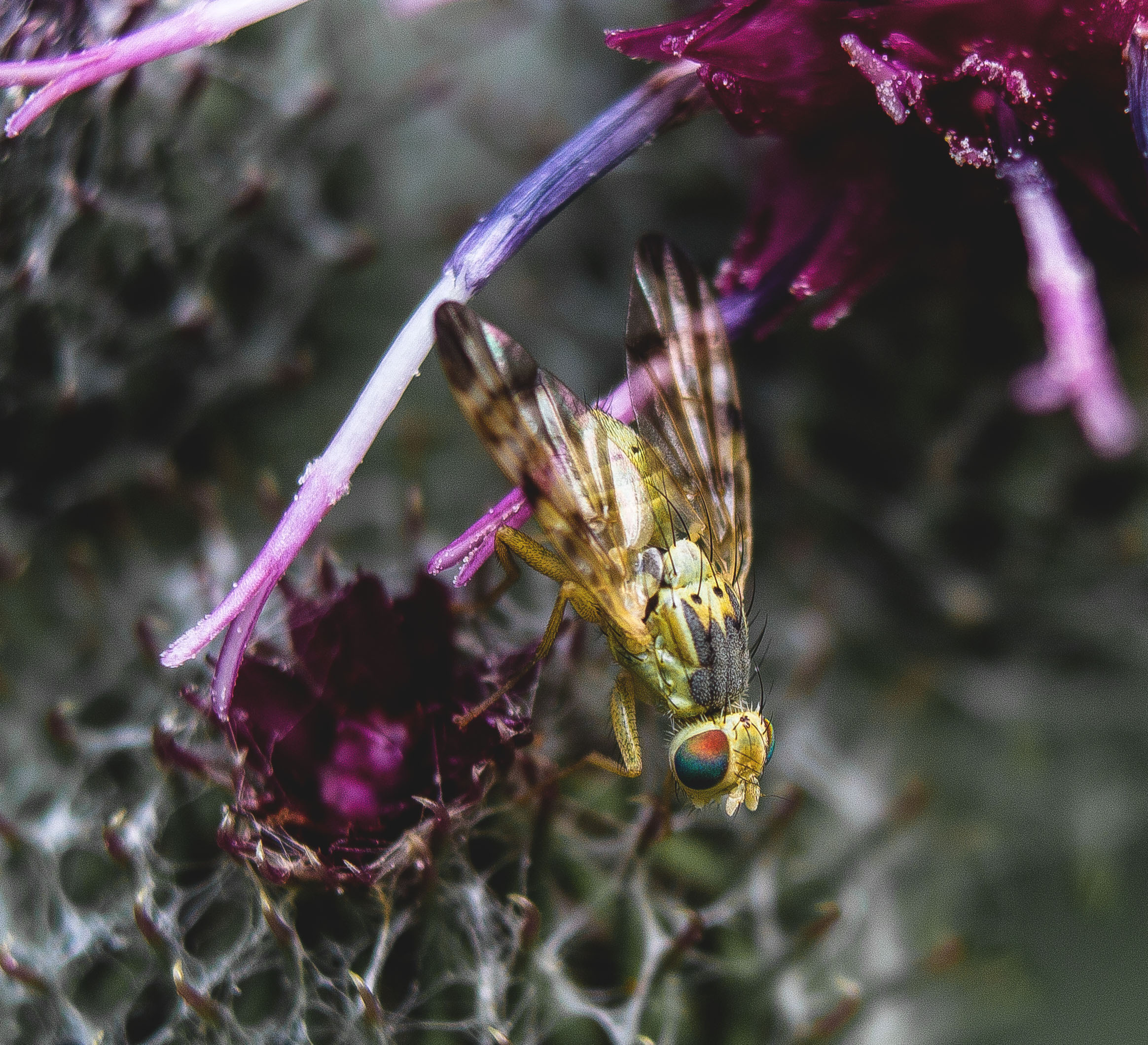 Макро. Обо всём