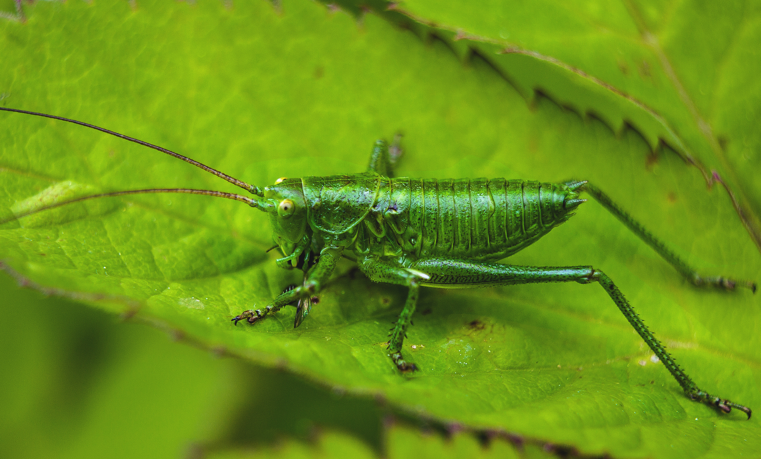 Макро. Обо всём