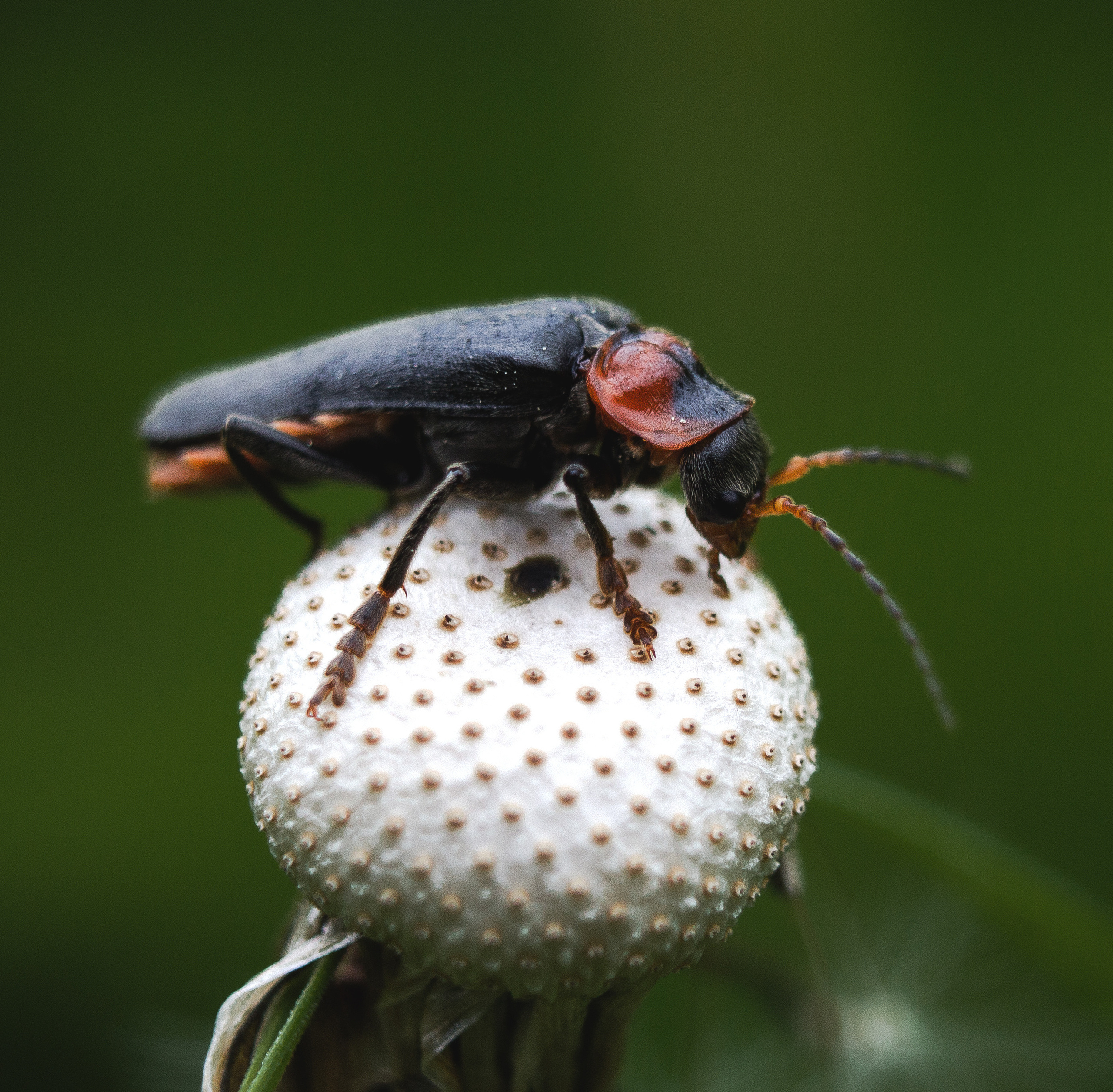 Макро. Обо всём