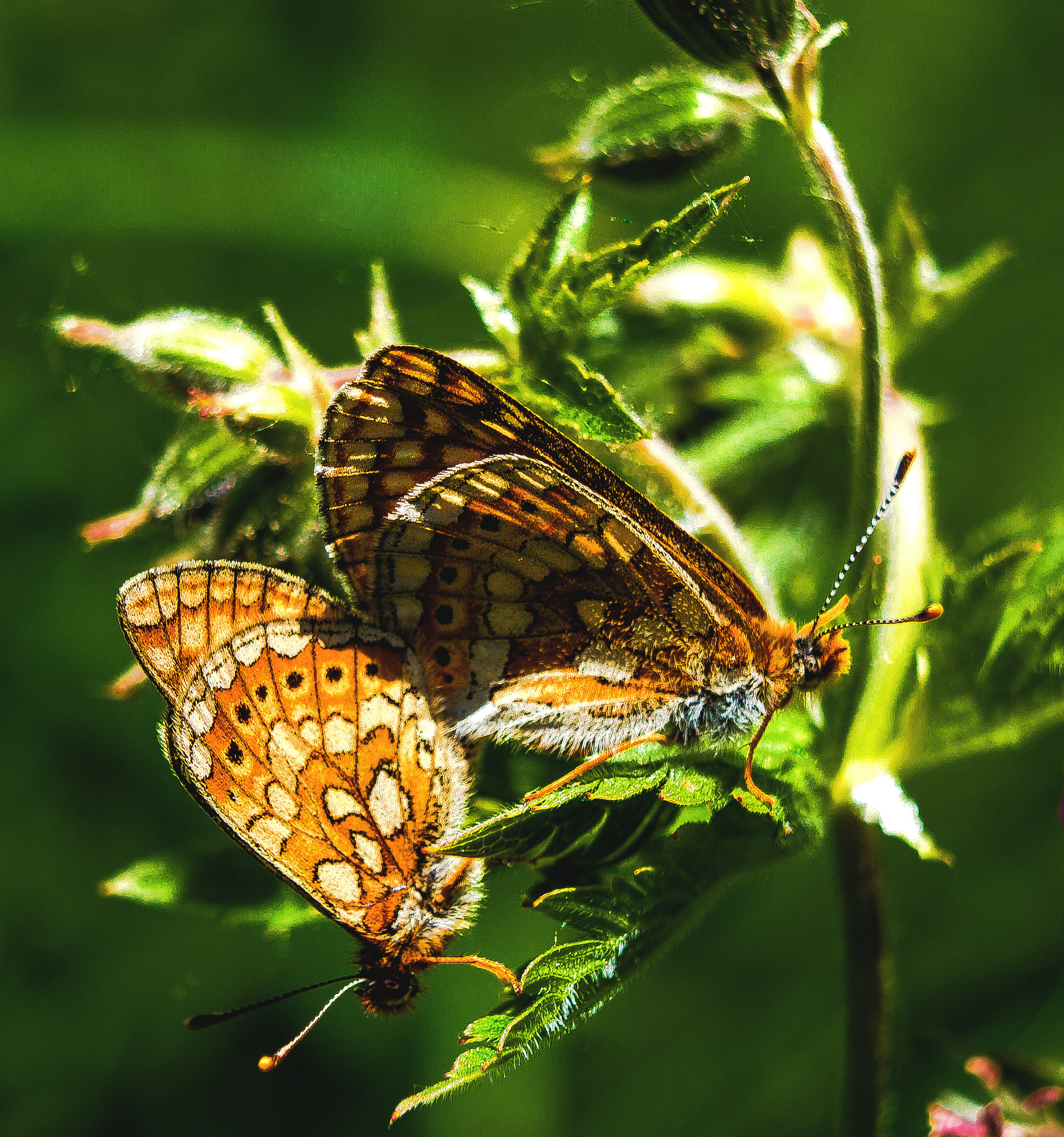 Макро. Обо всём