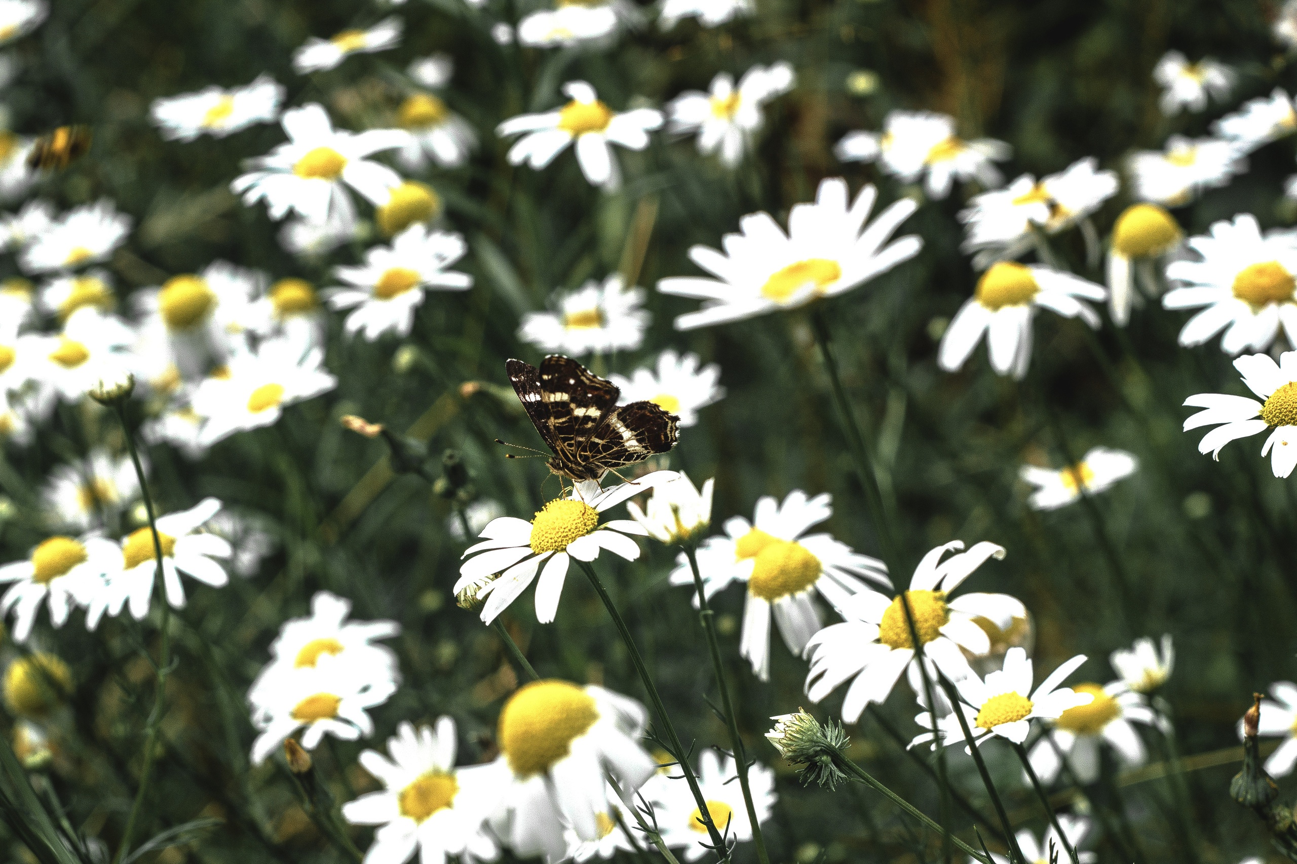 Природное. Обо всём