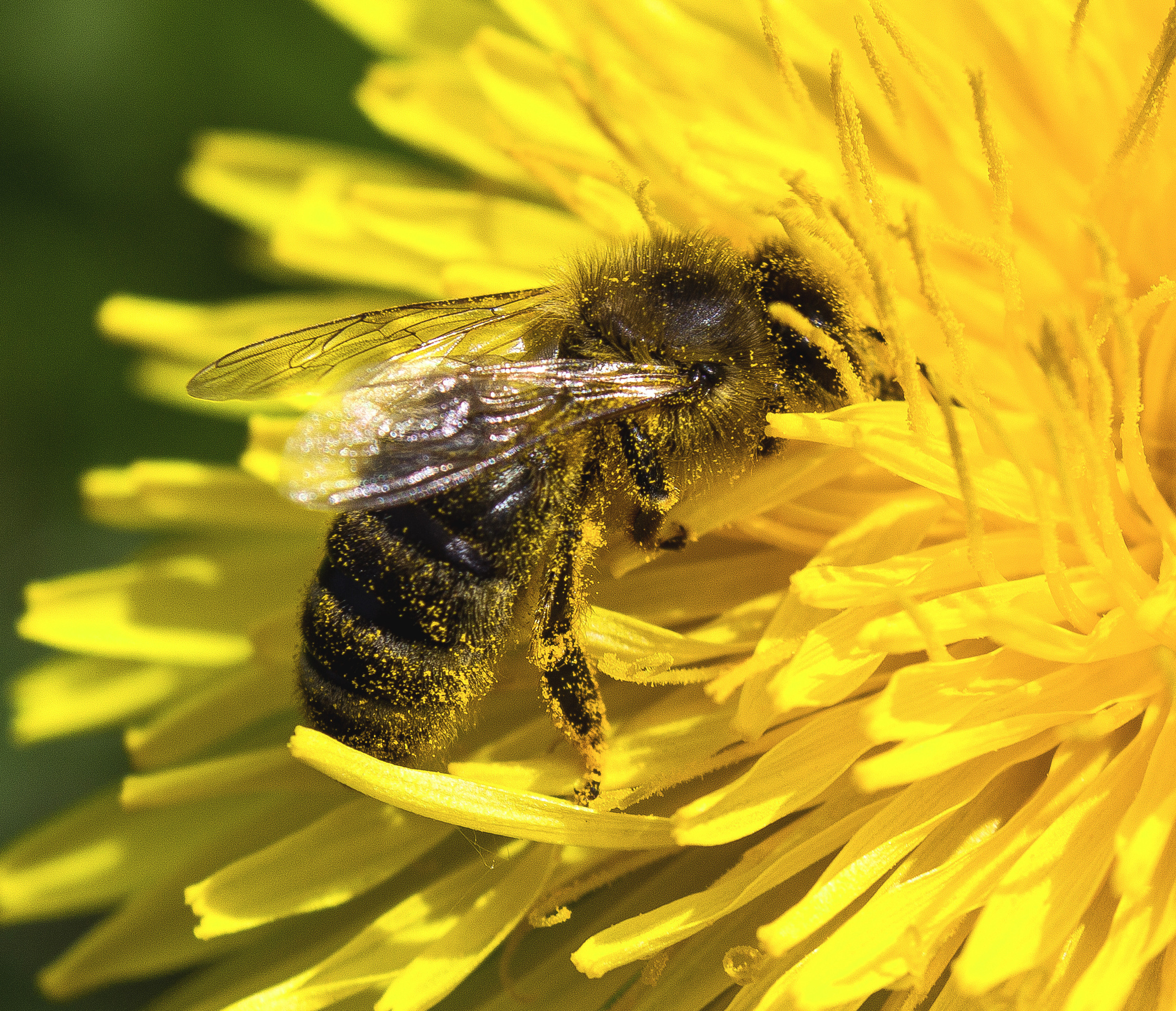 Макро. Обо всём