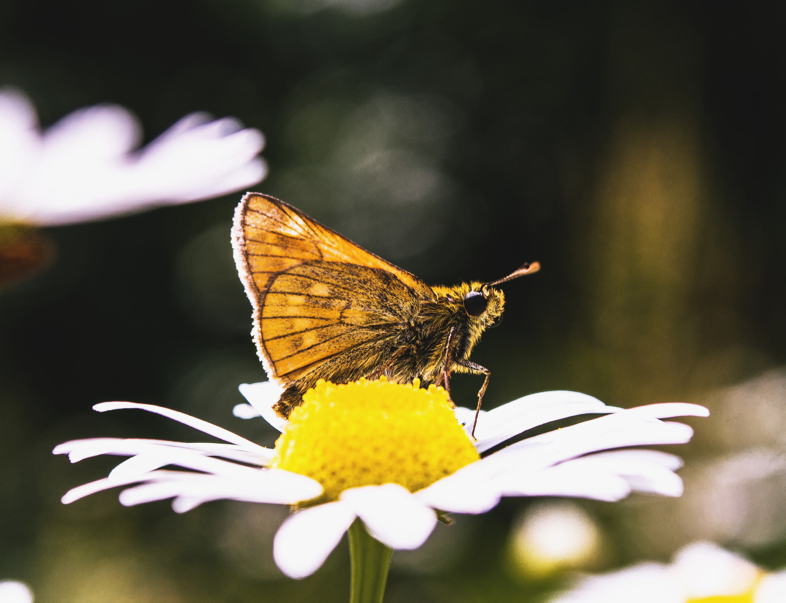 Макро. Обо всём