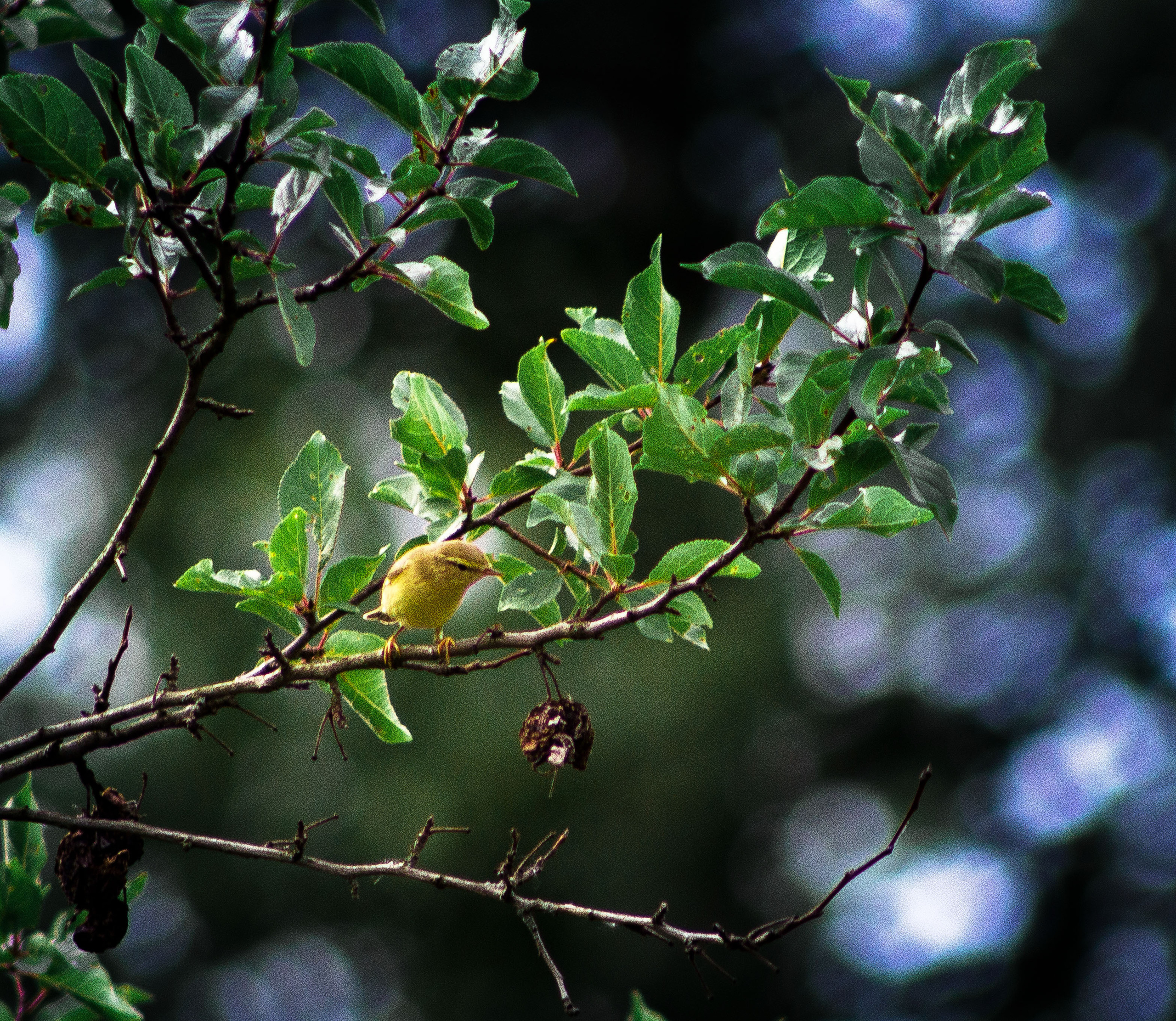 Природное. Обо всём