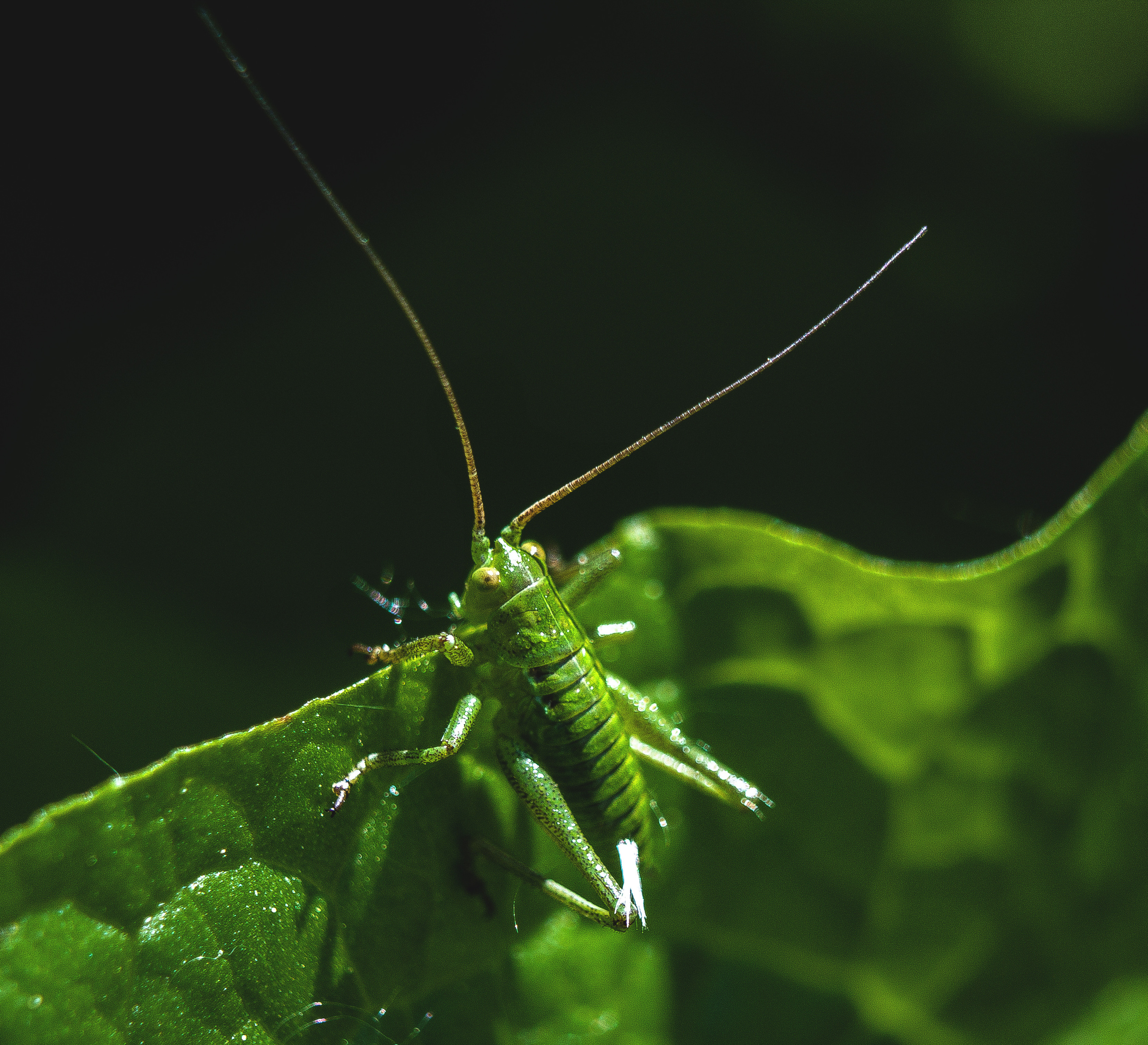 Макро. Обо всём