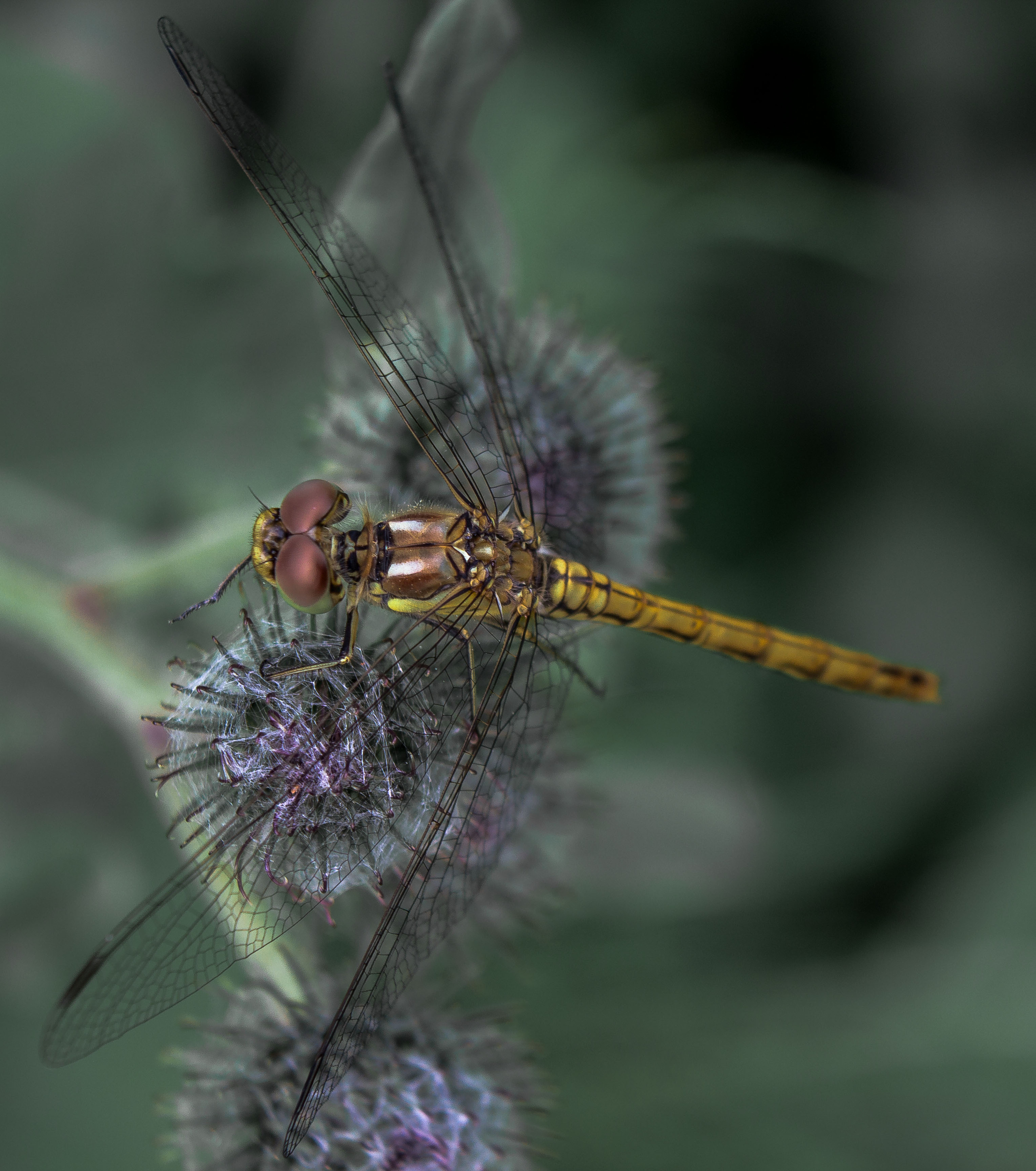 Макро. Обо всём