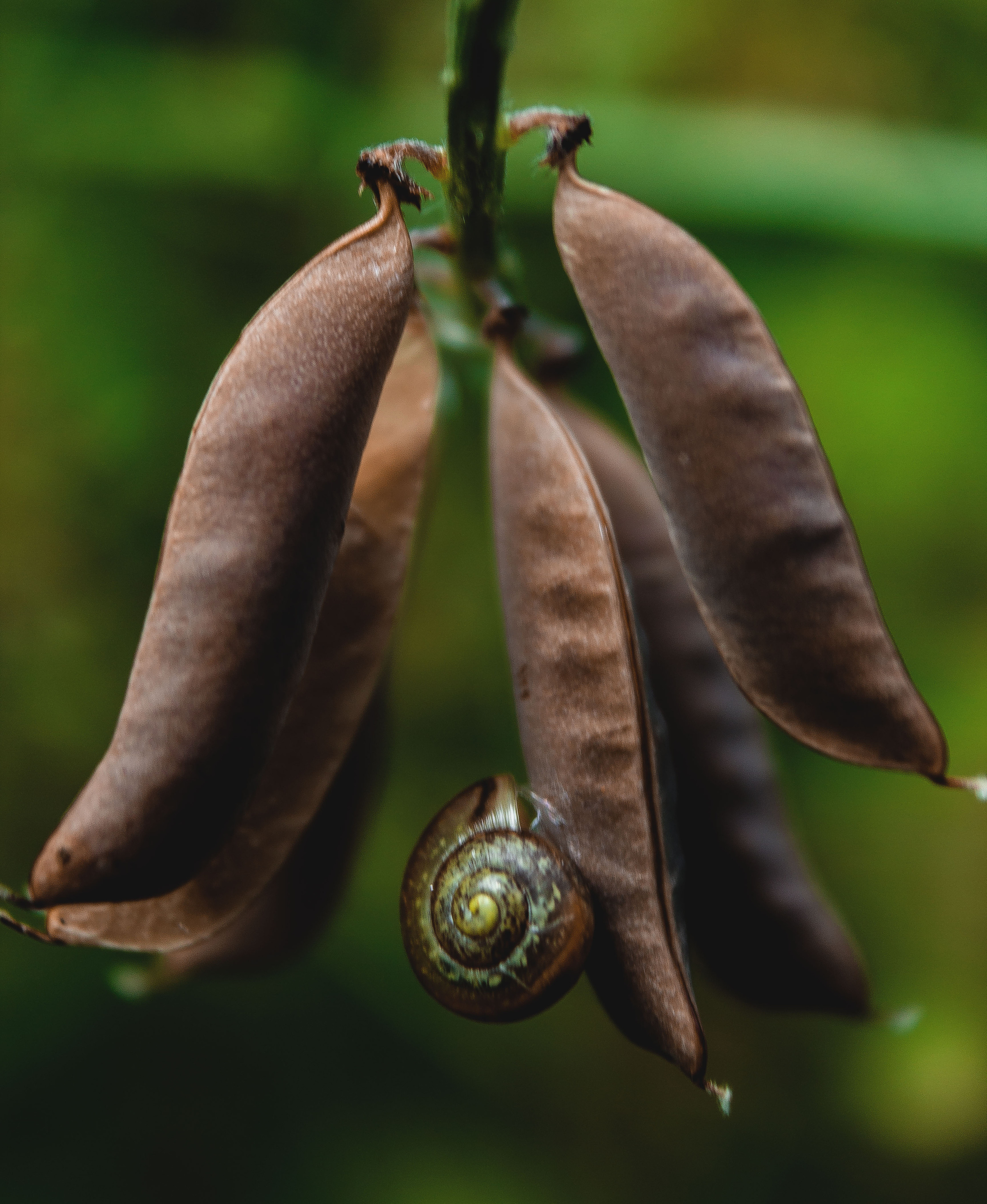 Природное. Обо всём