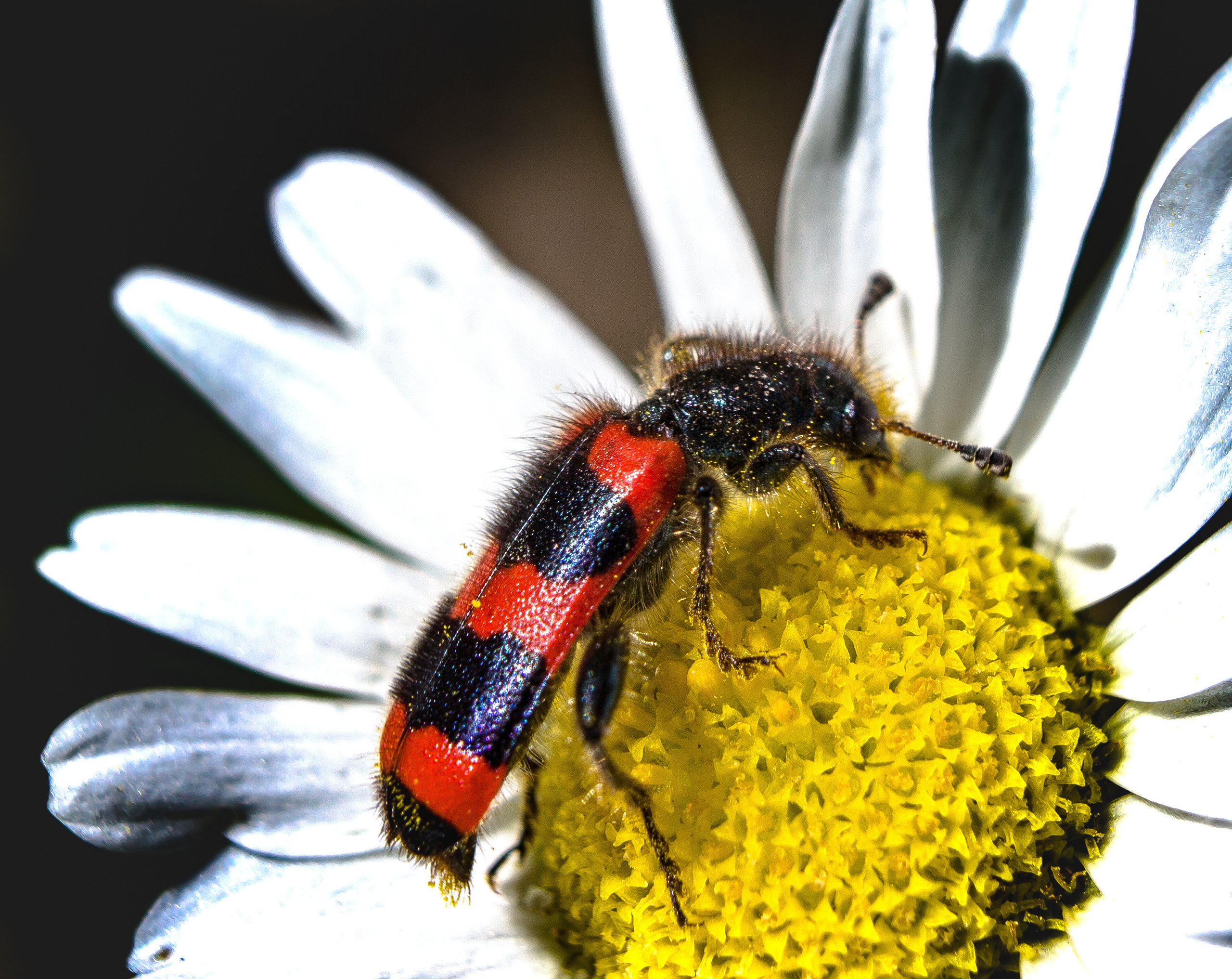 Макро. Обо всём