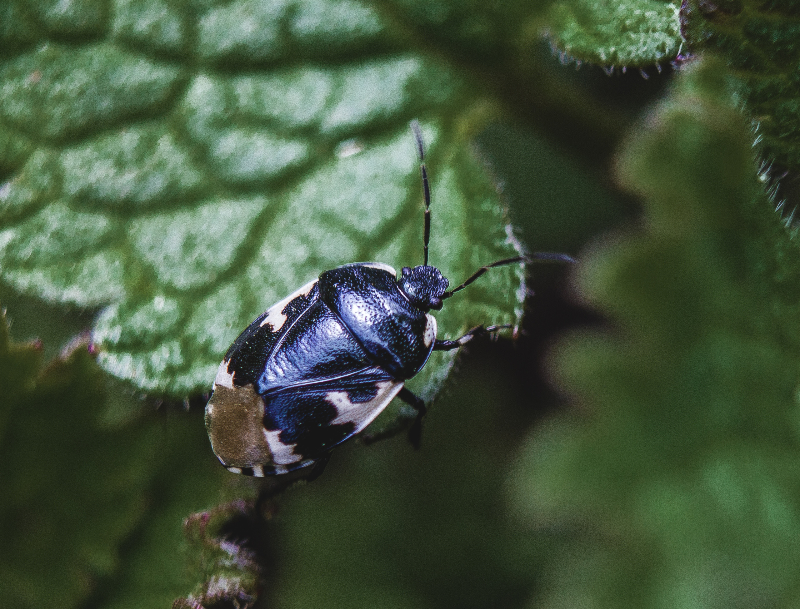 Макро. Обо всём