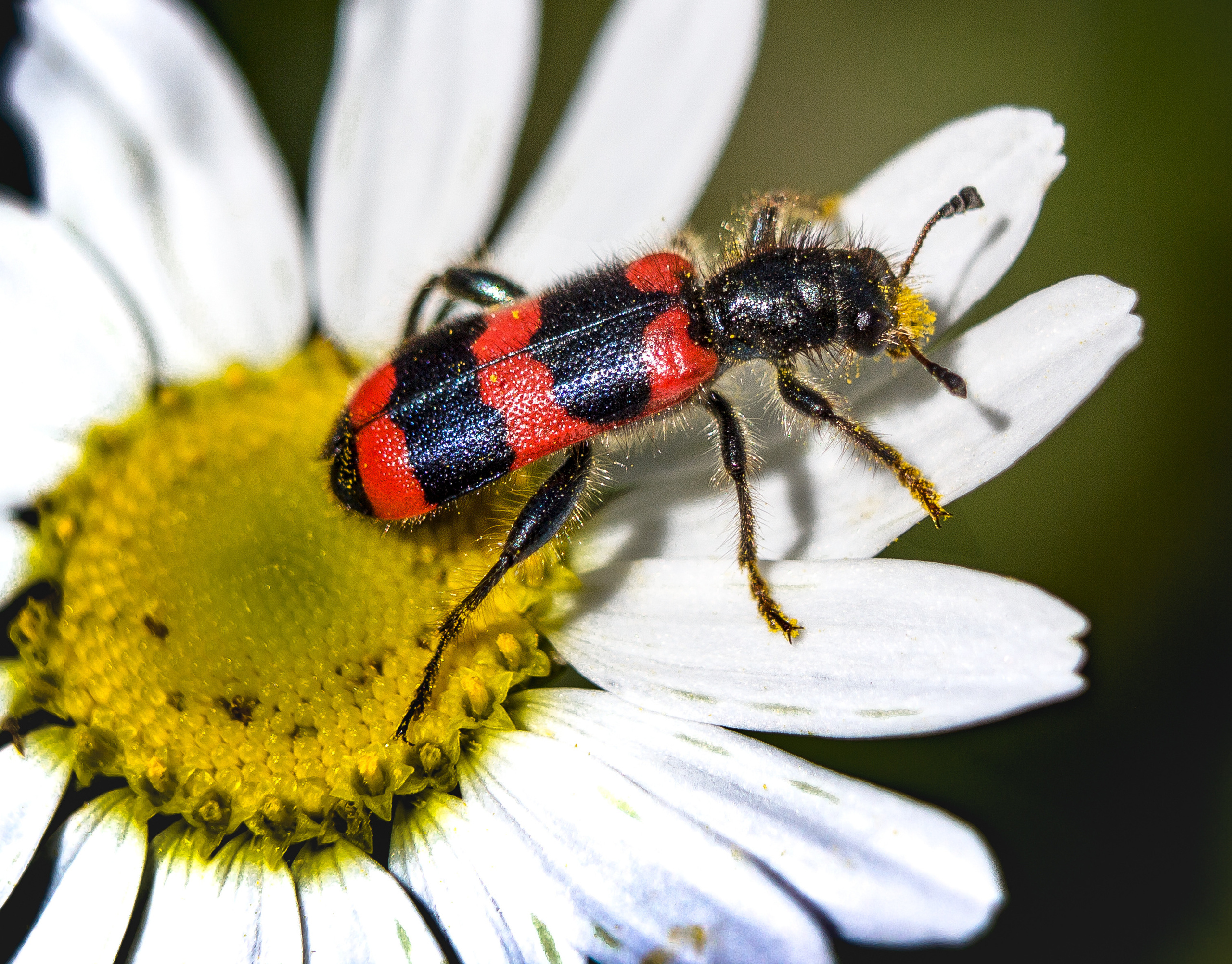 Макро. Обо всём