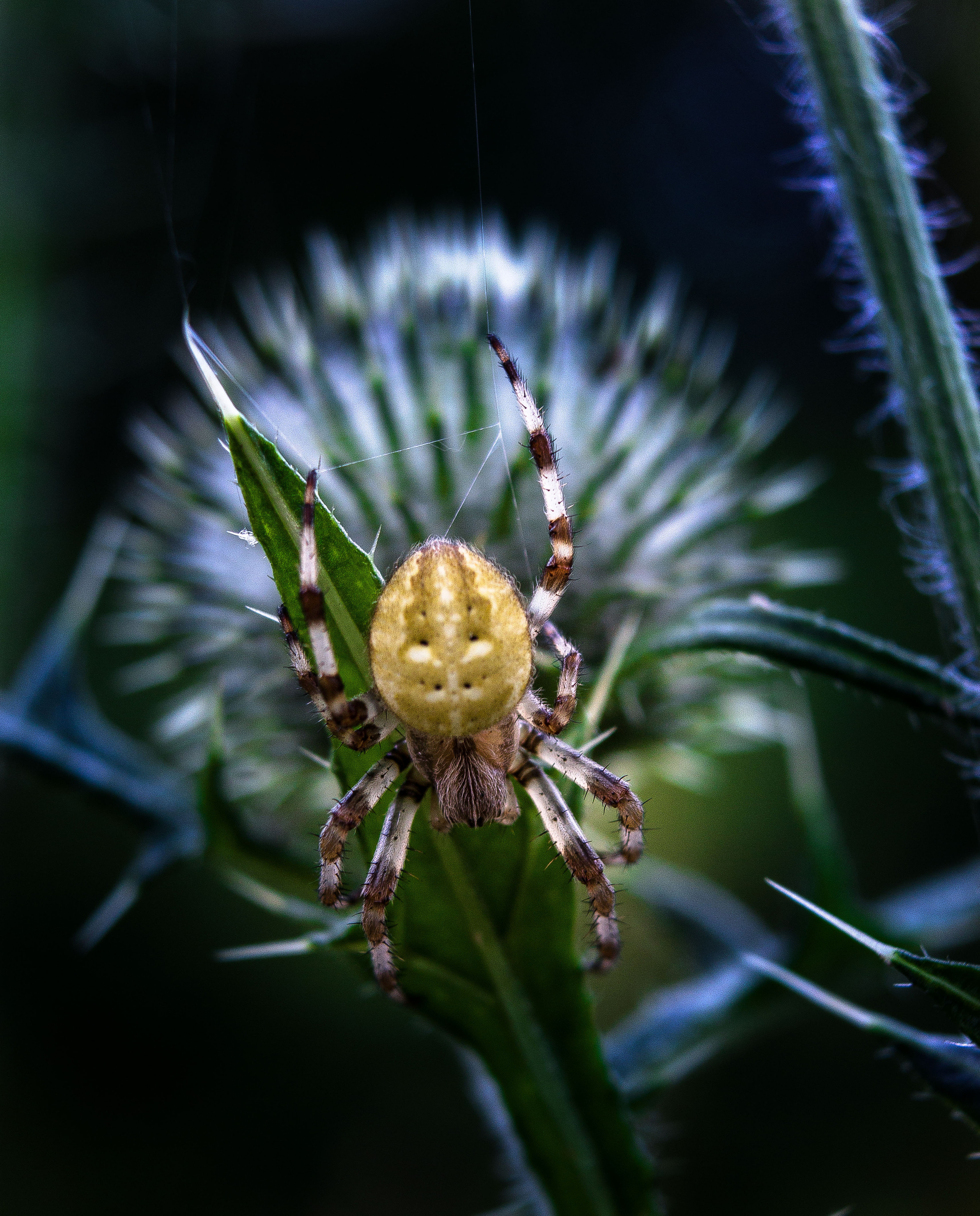 Макро. Обо всём