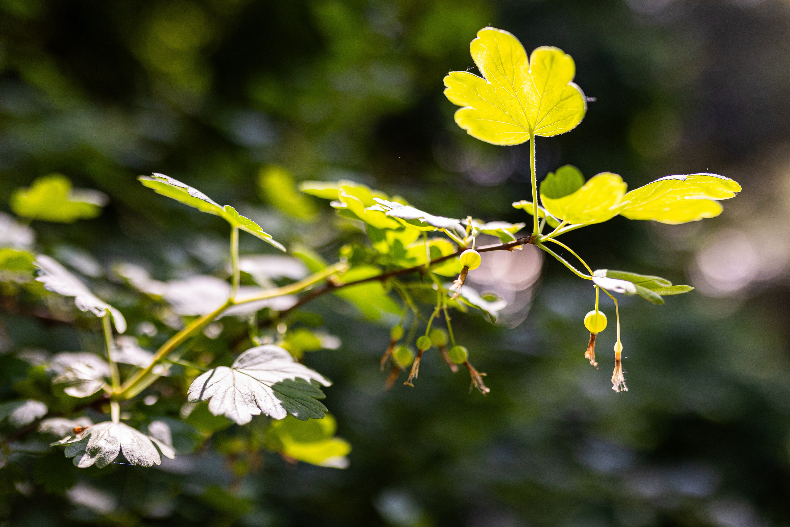 Мастер-класс от Аминосил. Александра Куликова фотограф, Москва