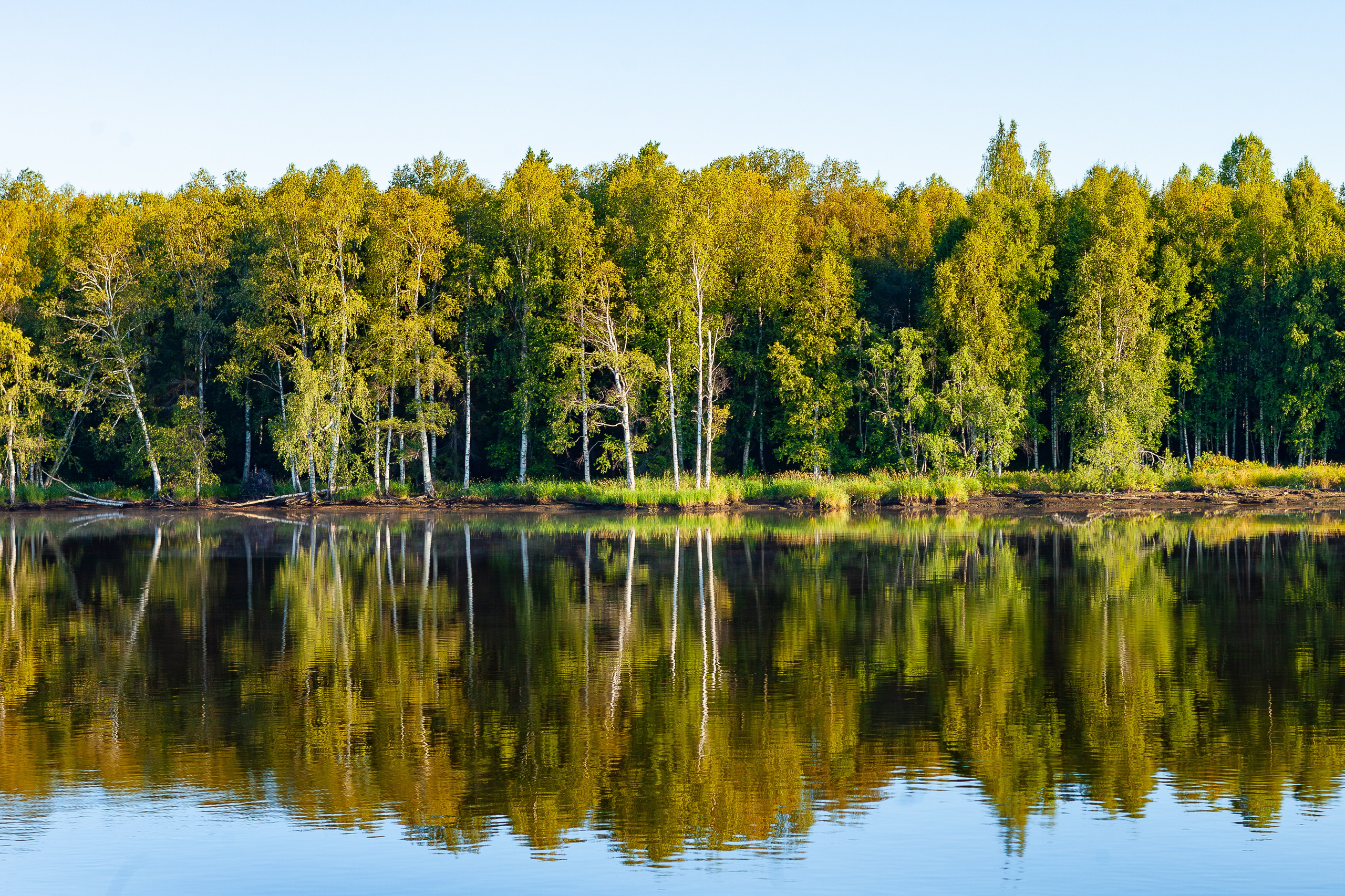 Красота земли