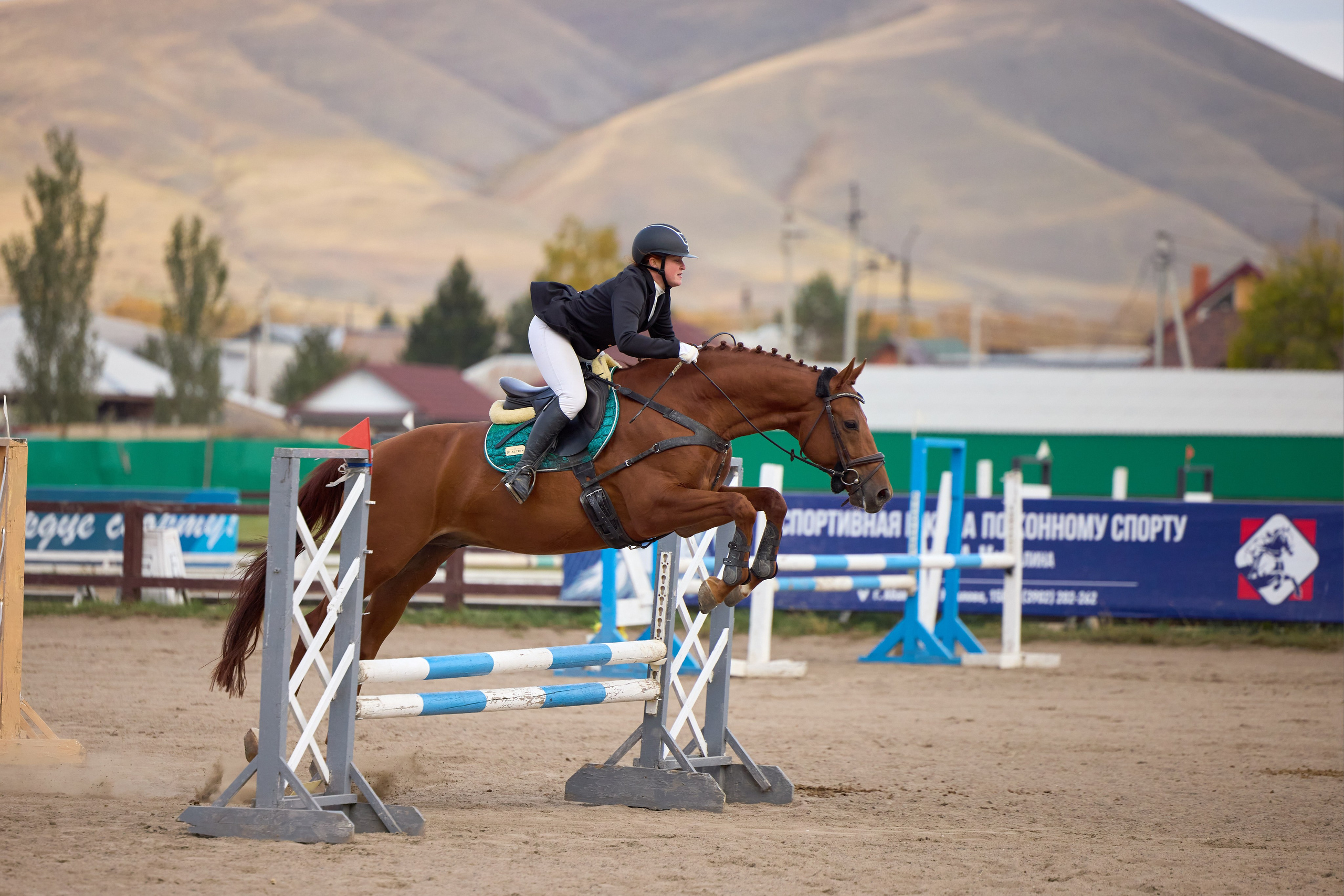 Конкур на Абаканском ипподроме. Ваши Истории. Фотограф/видеограф. Абакан
