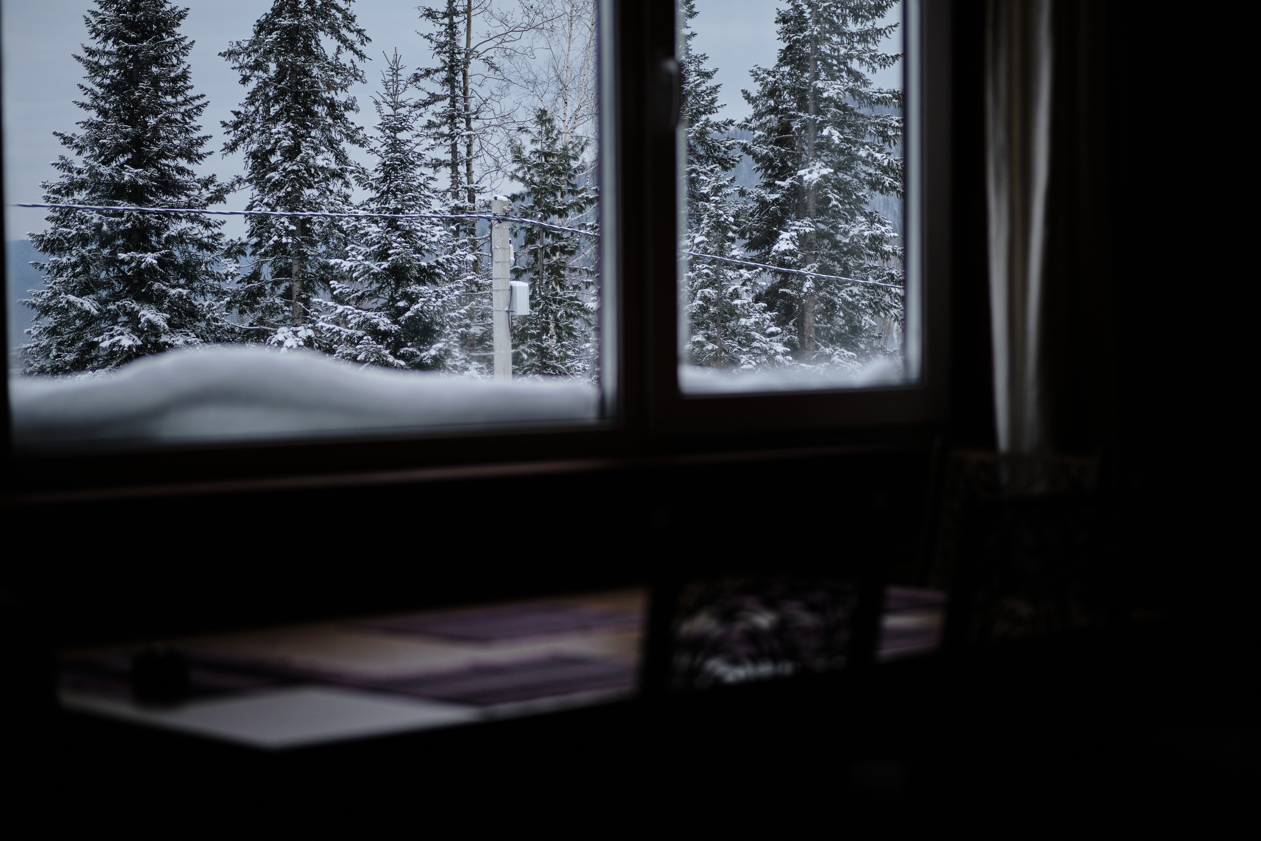 Цветочная ½. Свадебный и семейный фотограф в Новокузнецке Иван Иванов